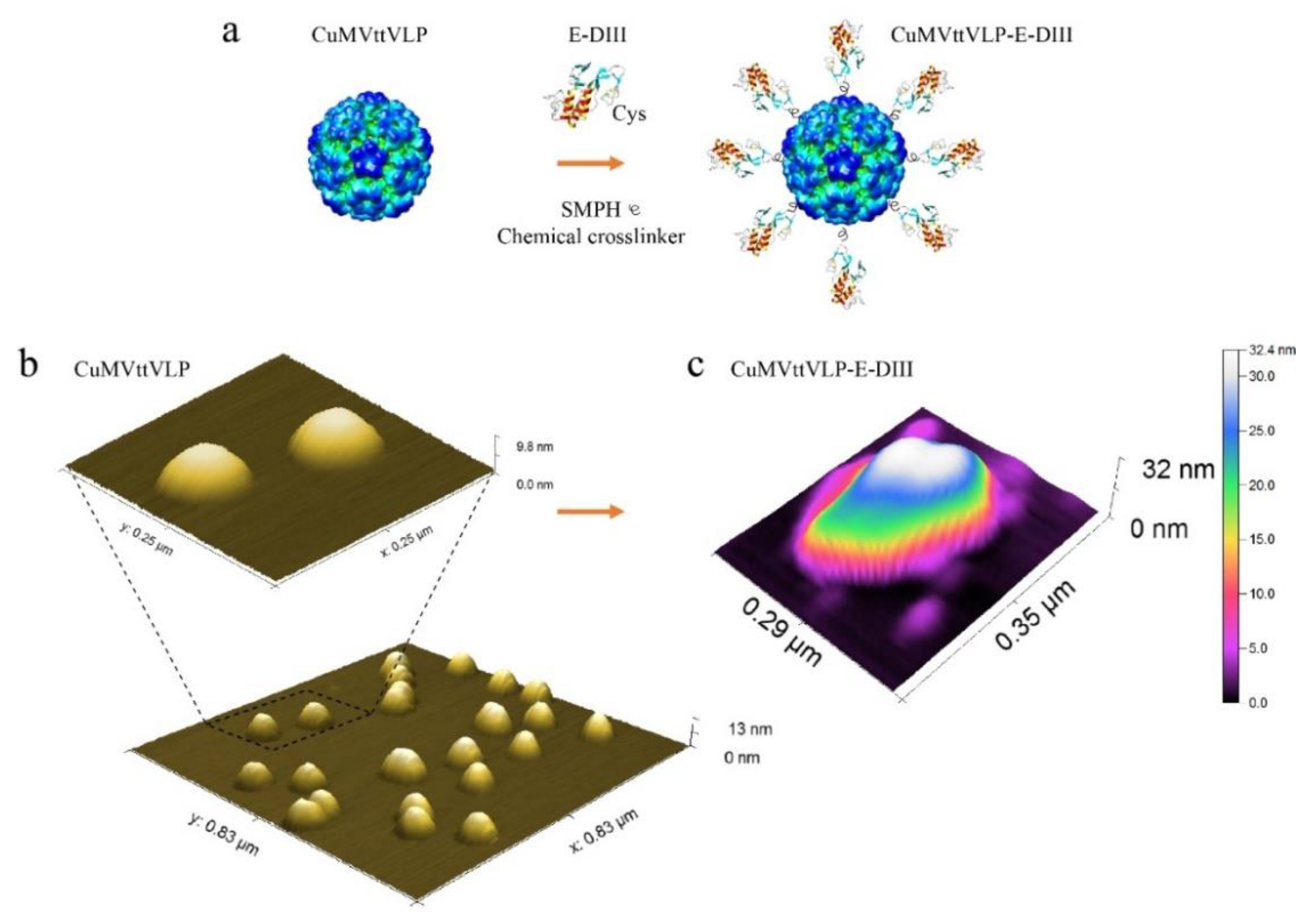 Vaccines 07 00072 g001 Vaccines 07 00072 g001