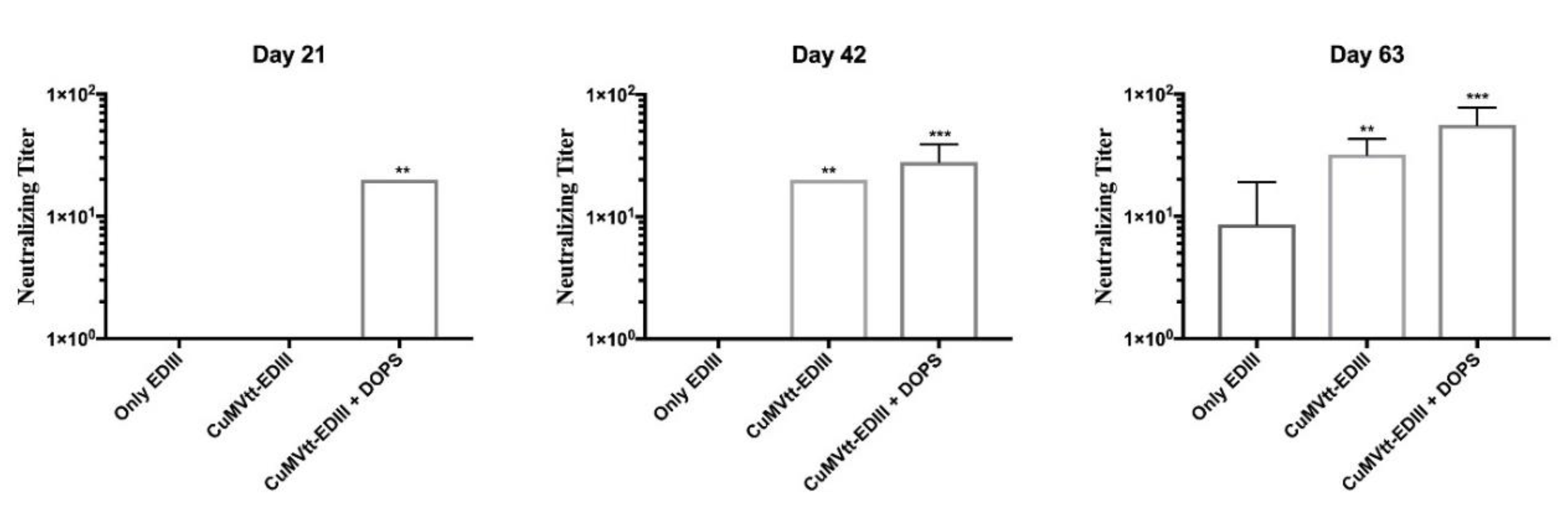 Vaccines 07 00072 g005 Vaccines 07 00072 g005