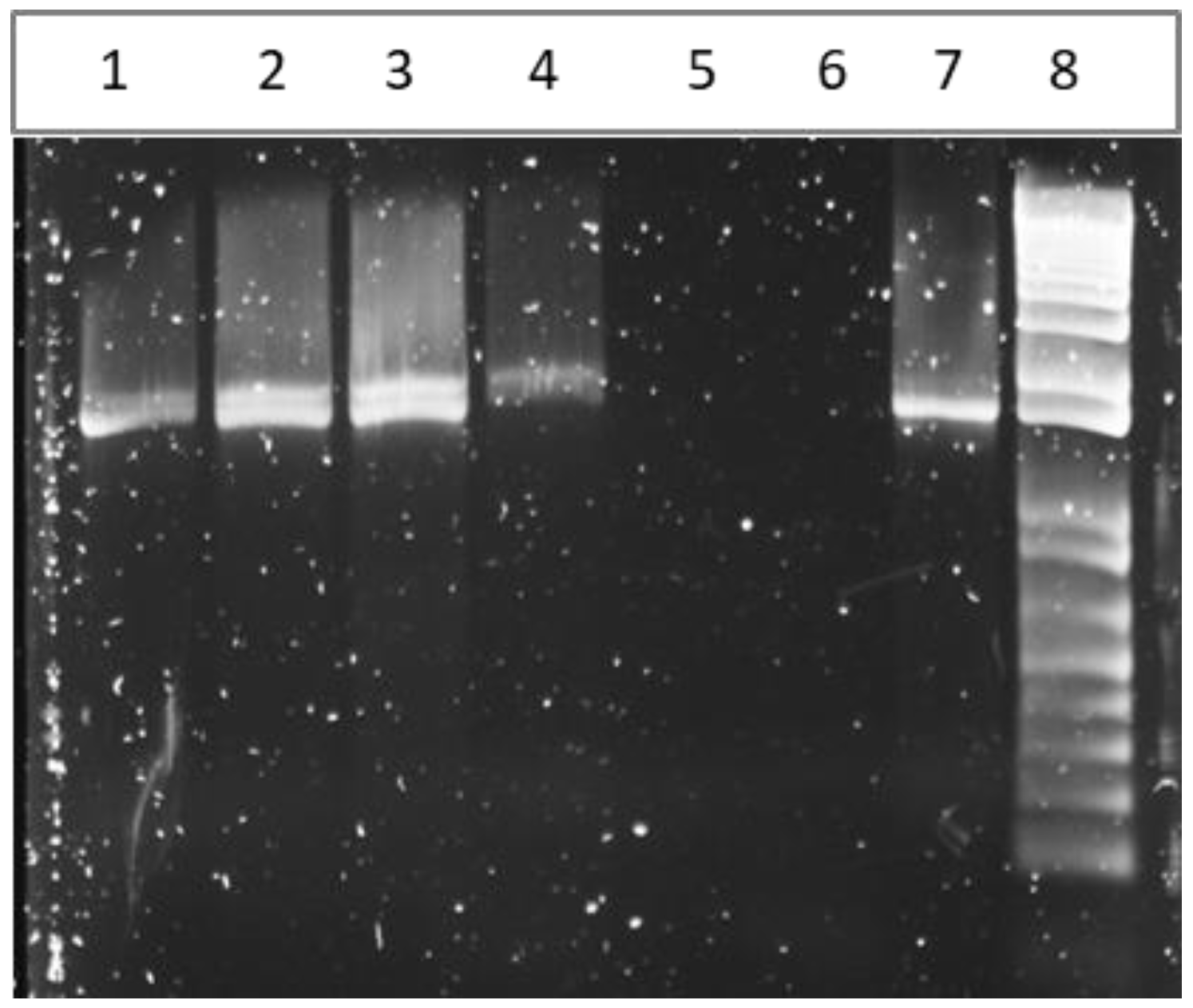 Vaccines 07 00078 g0a1