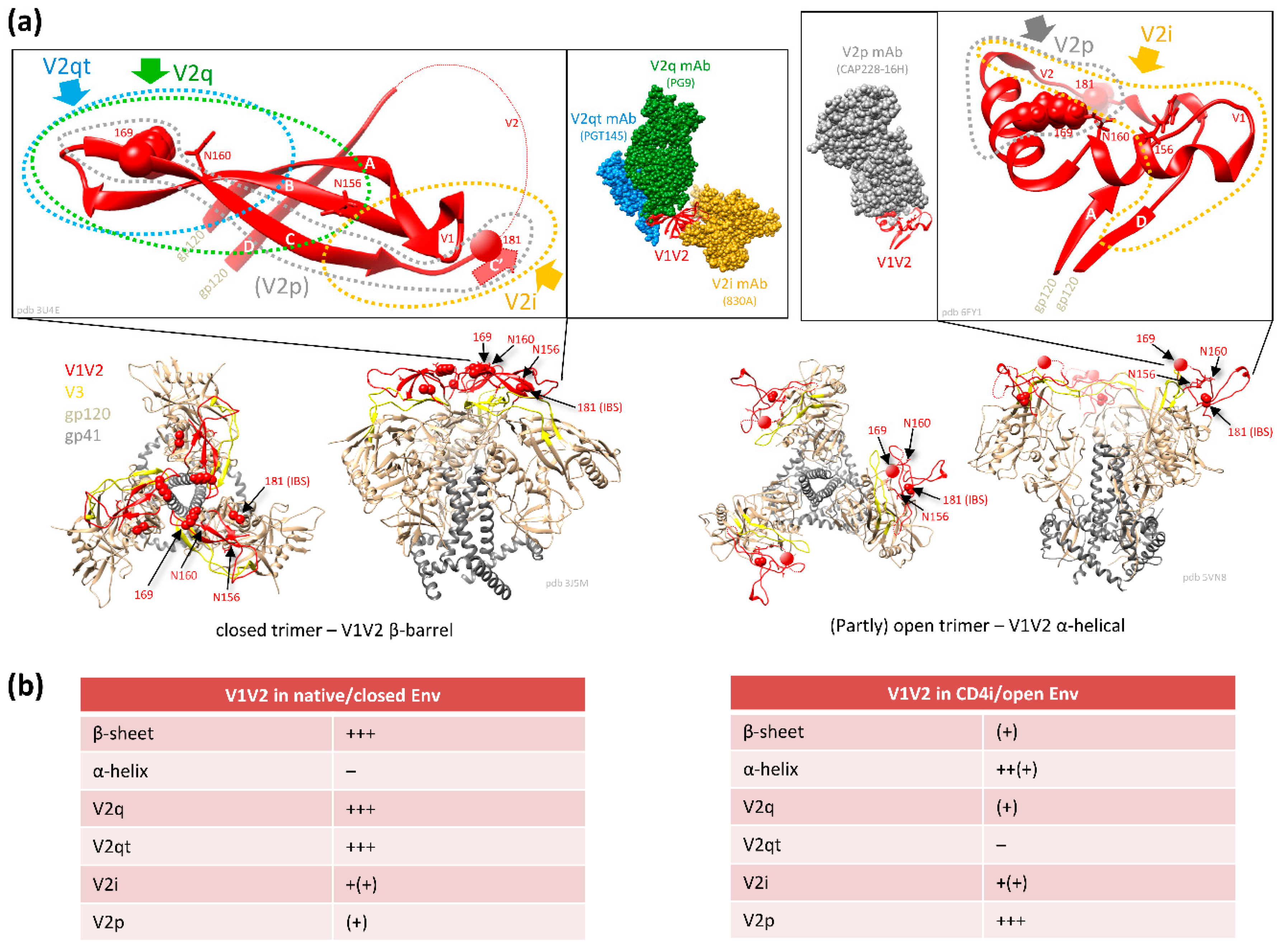 Vaccines 07 00082 g003 Vaccines 07 00082 g003