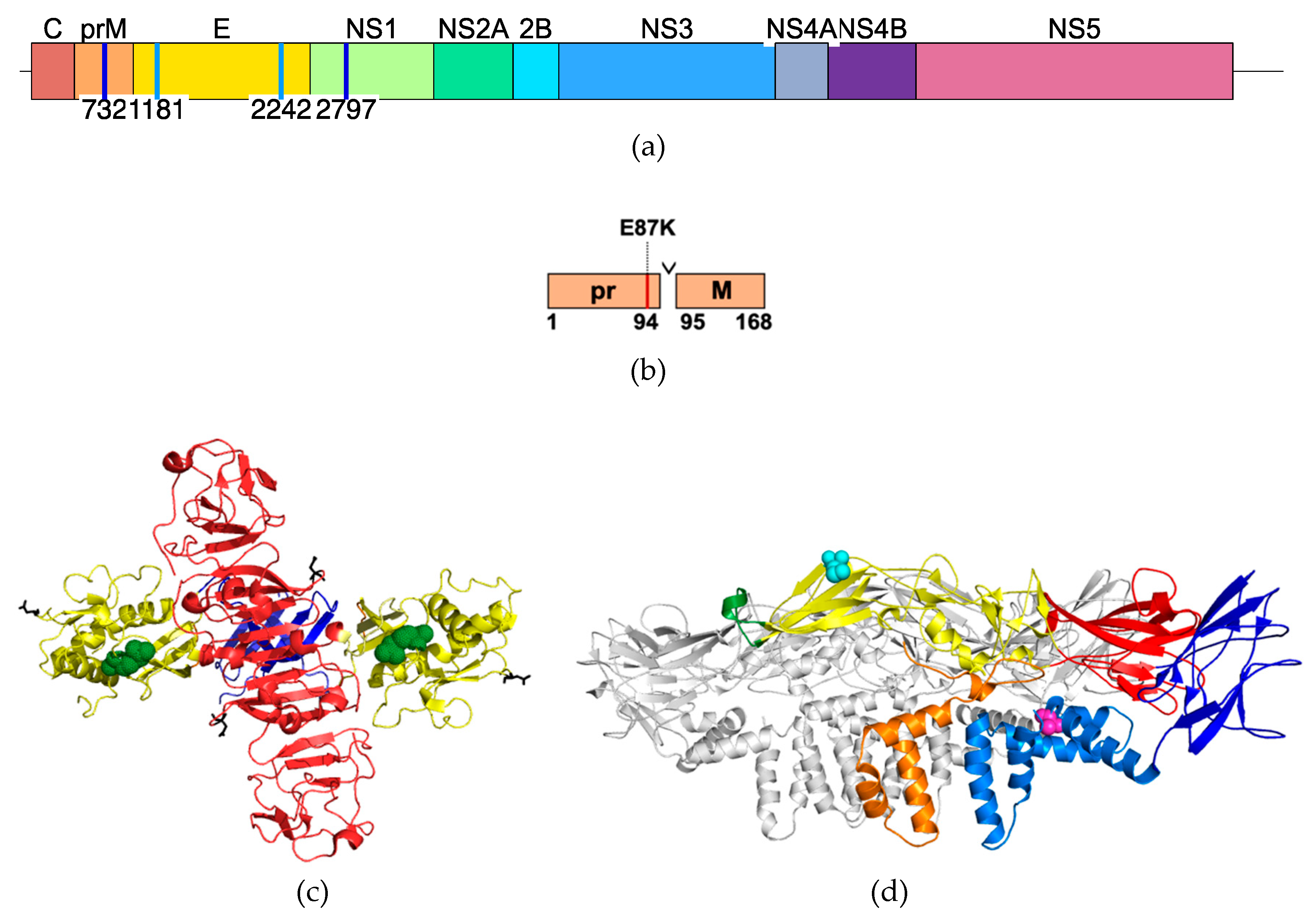 Vaccines 07 00093 g004