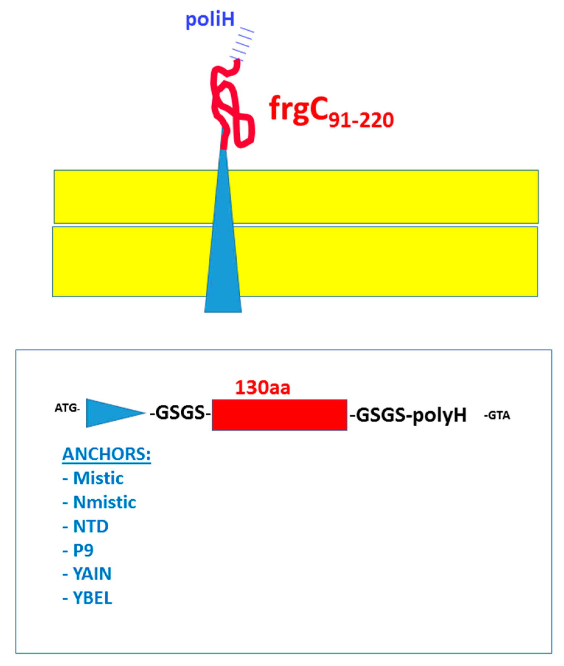 Vaccines 07 00094 g002