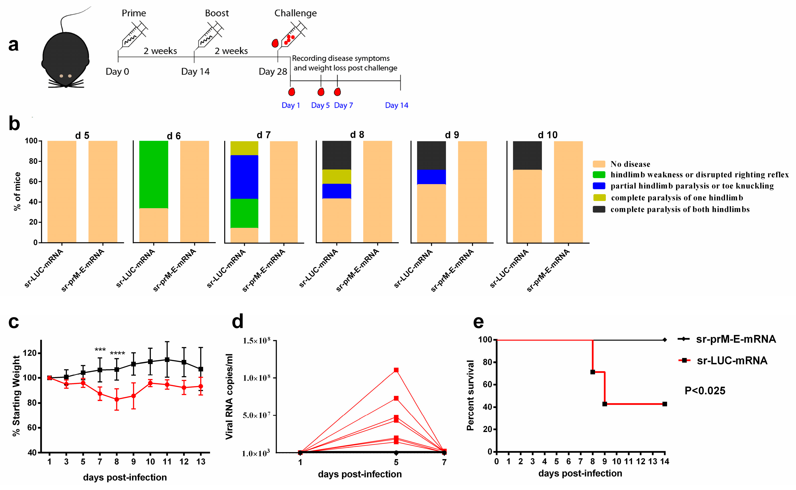 Vaccines 07 00096 g006 Vaccines 07 00096 g006