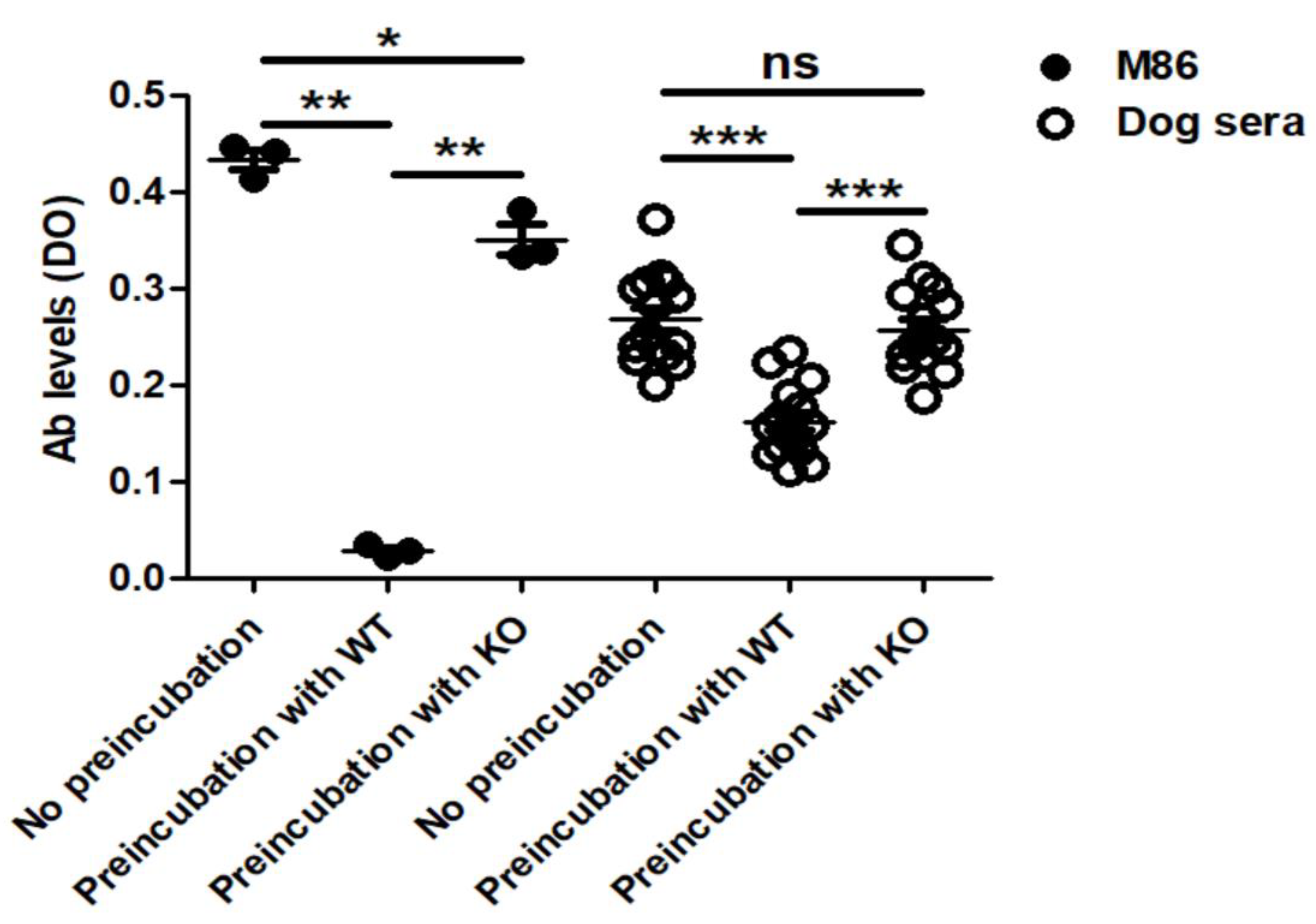 Vaccines 07 00114 g002 Vaccines 07 00114 g002