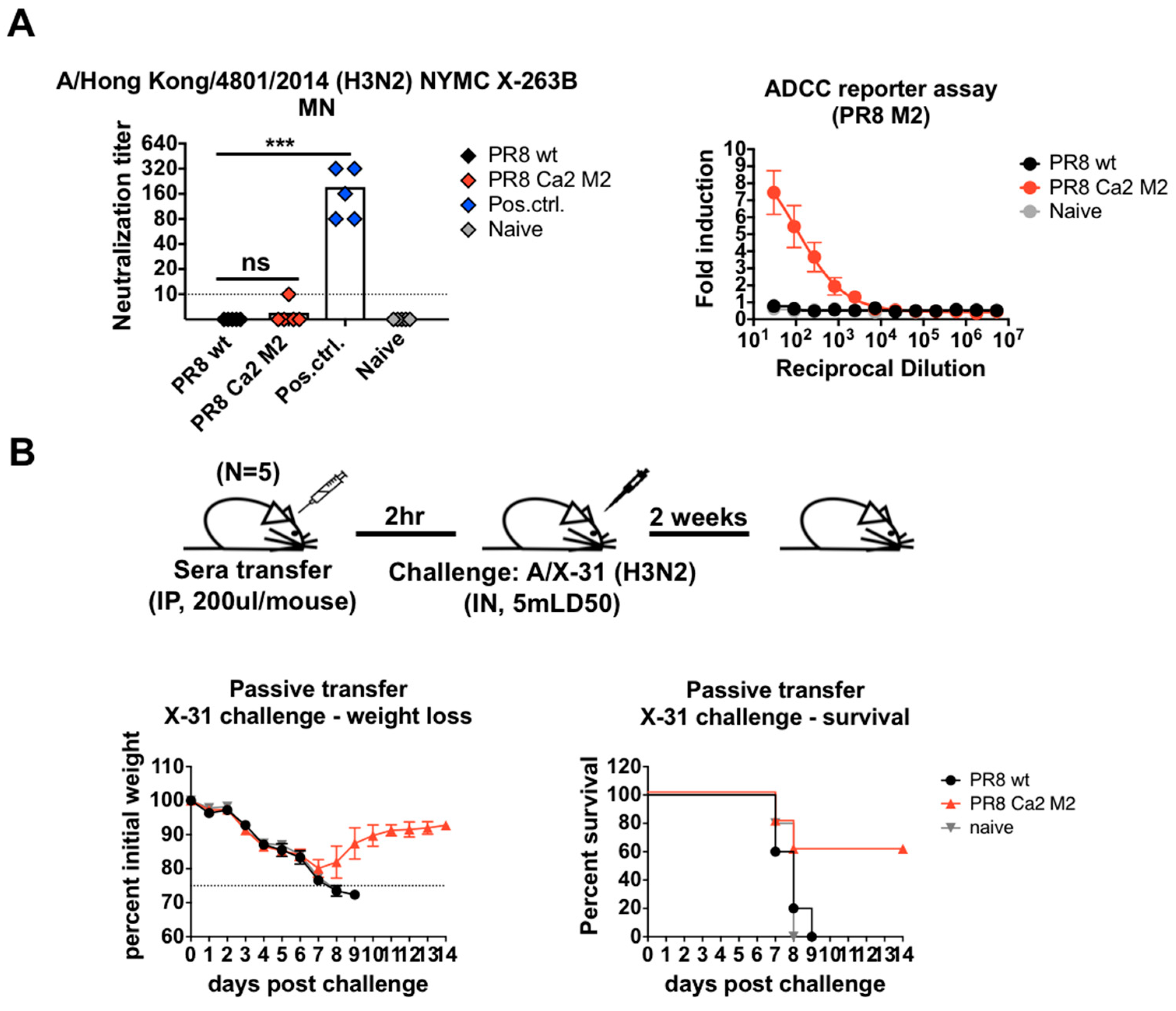 Vaccines 07 00117 g003