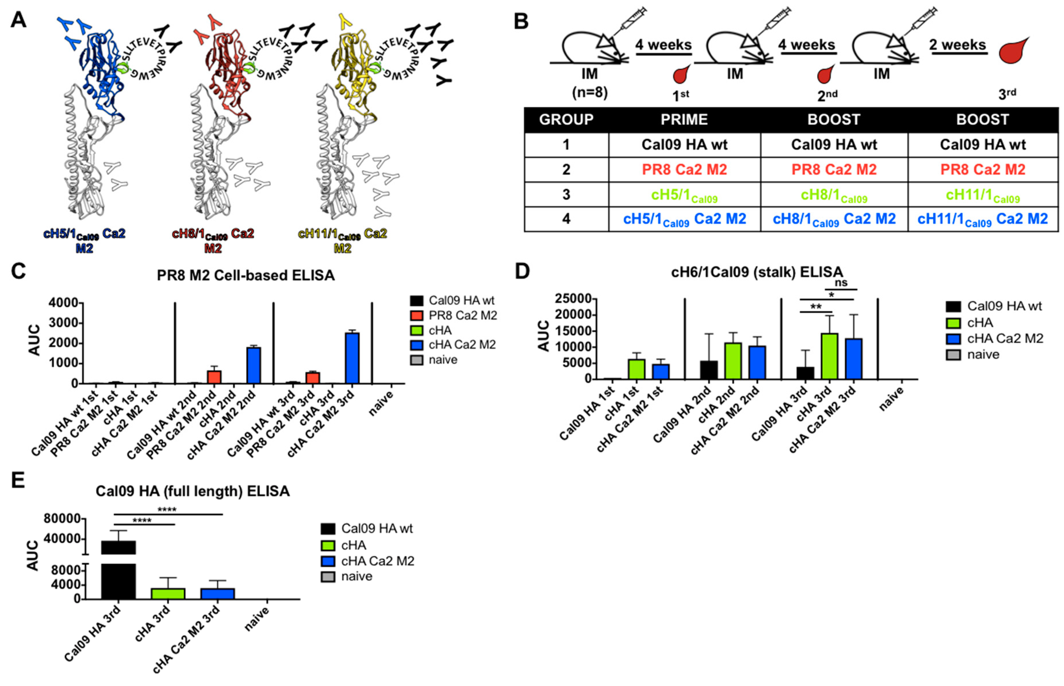 Vaccines 07 00117 g004