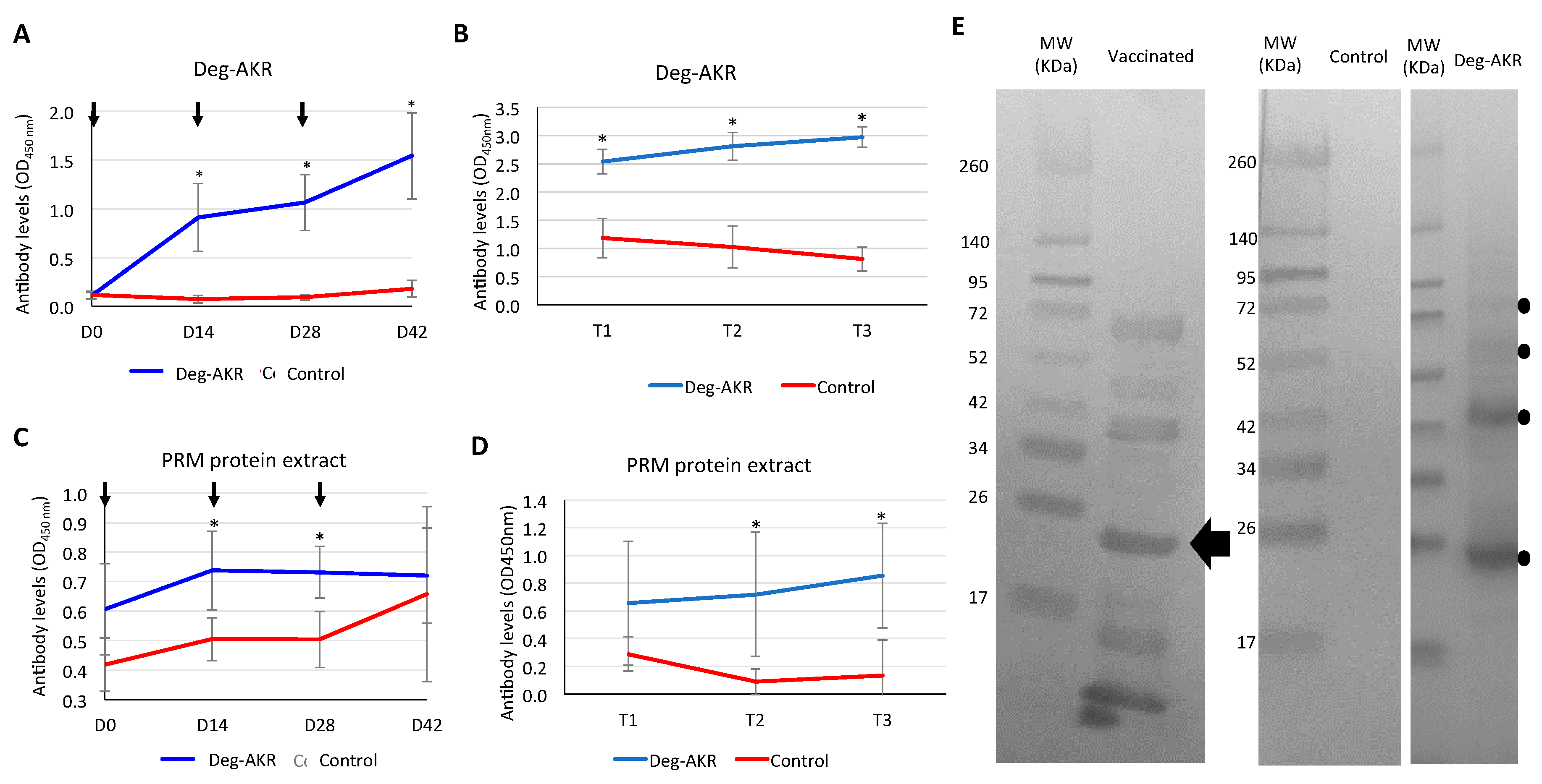 Vaccines 07 00121 g003 Vaccines 07 00121 g003