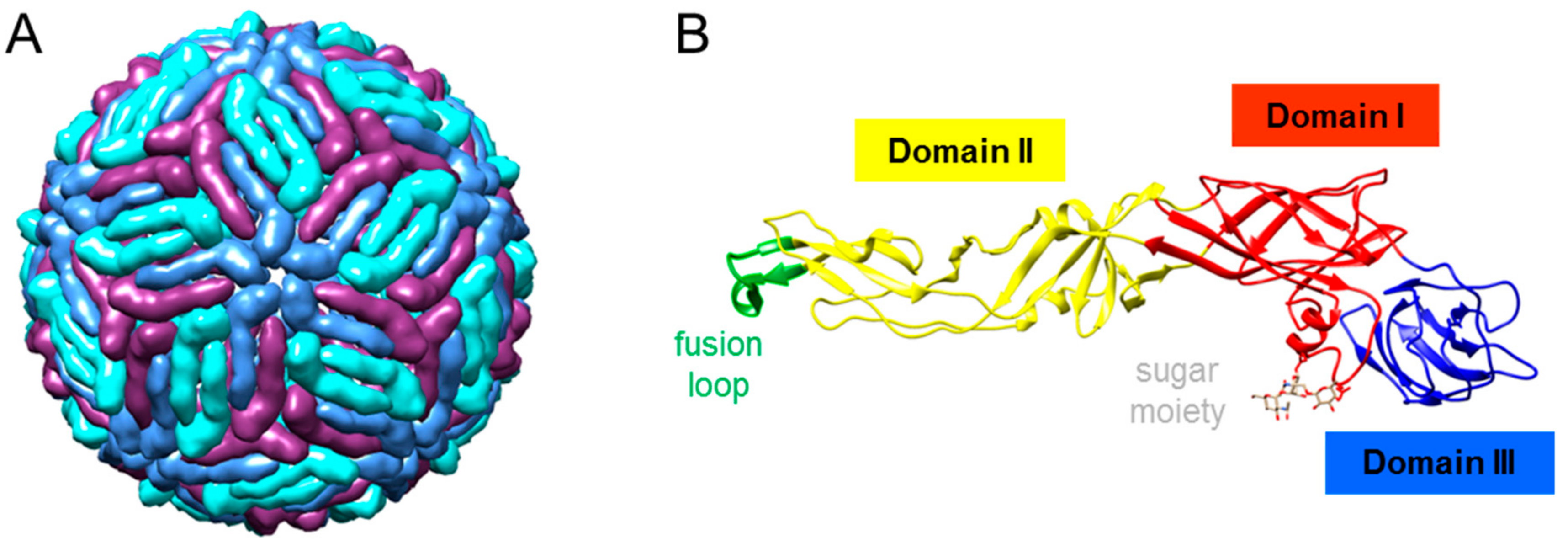Vaccines 07 00126 g003 Vaccines 07 00126 g003