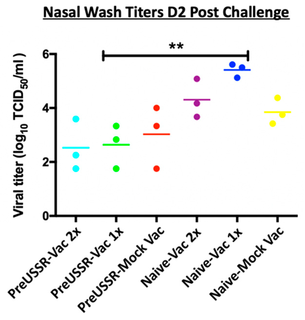Vaccines 07 00133 g003 Vaccines 07 00133 g003
