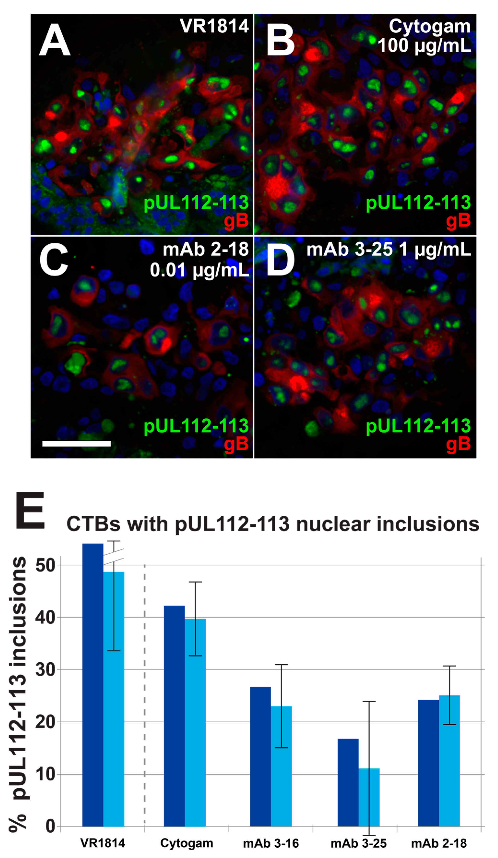 Vaccines 07 00135 g007 Vaccines 07 00135 g007