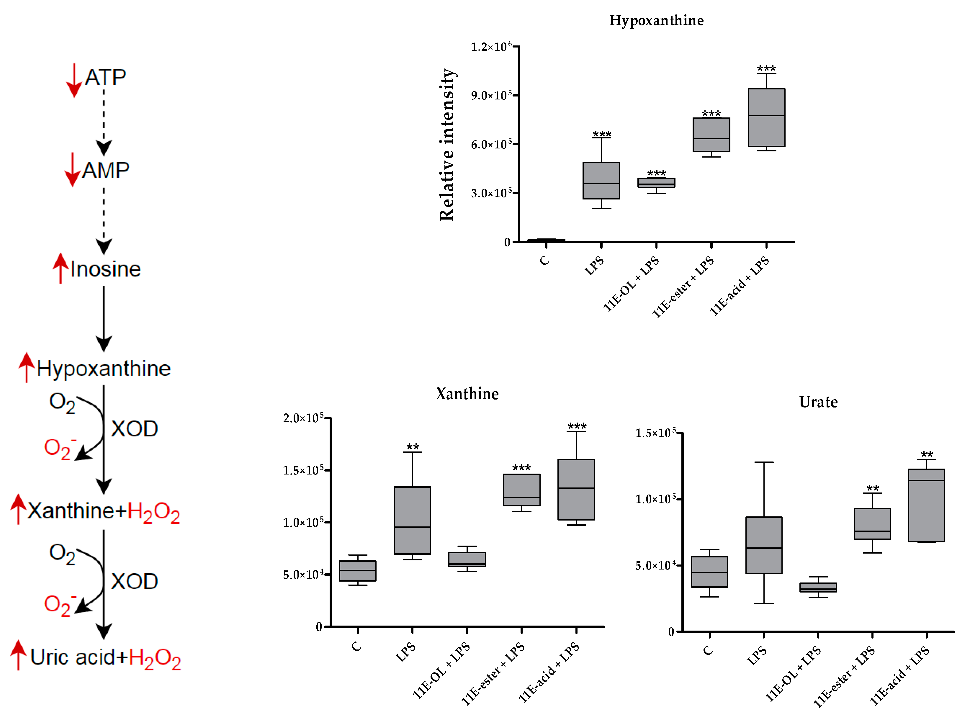 Vaccines 07 00142 g010