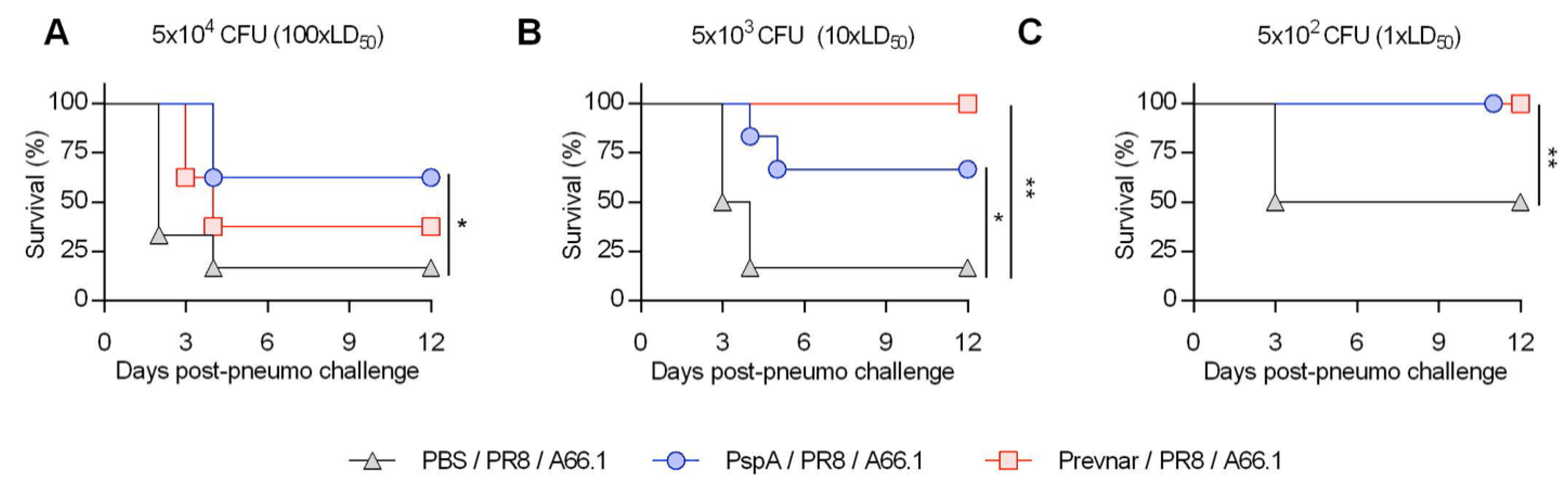 Vaccines 07 00146 g002 Vaccines 07 00146 g002