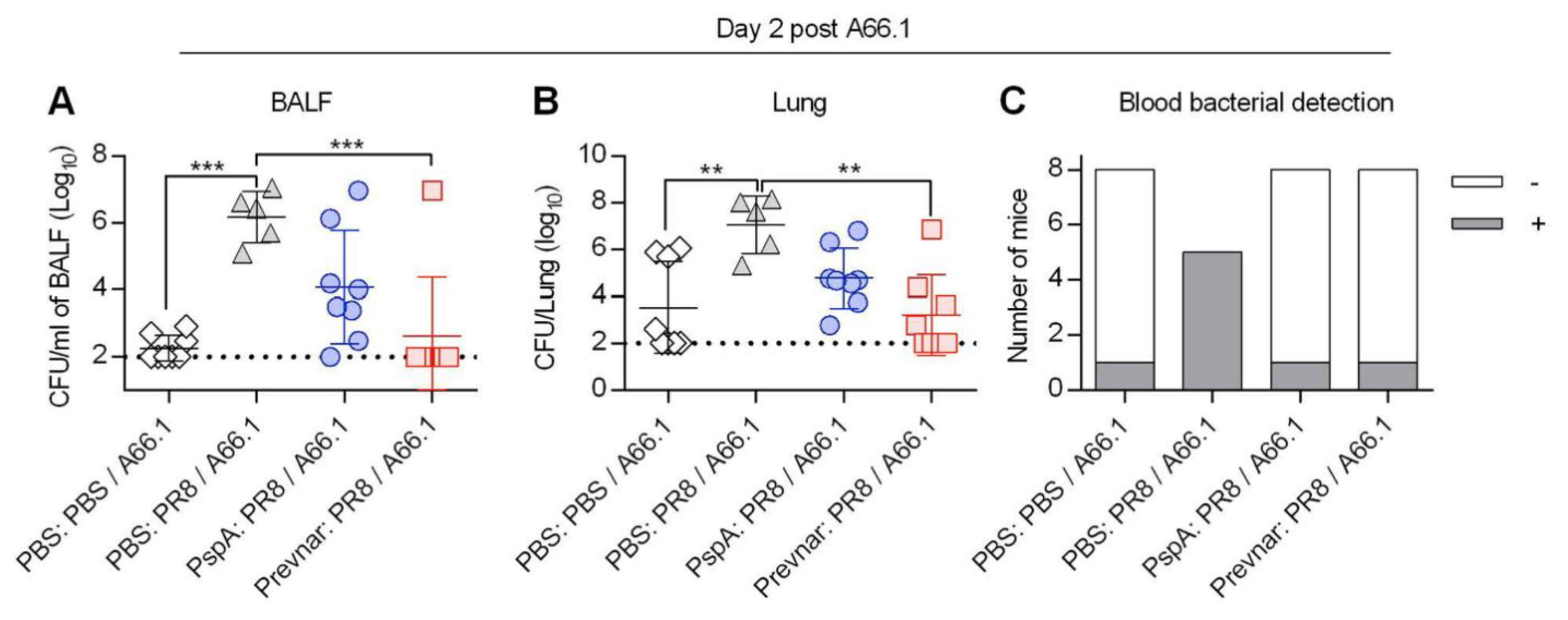 Vaccines 07 00146 g003 Vaccines 07 00146 g003