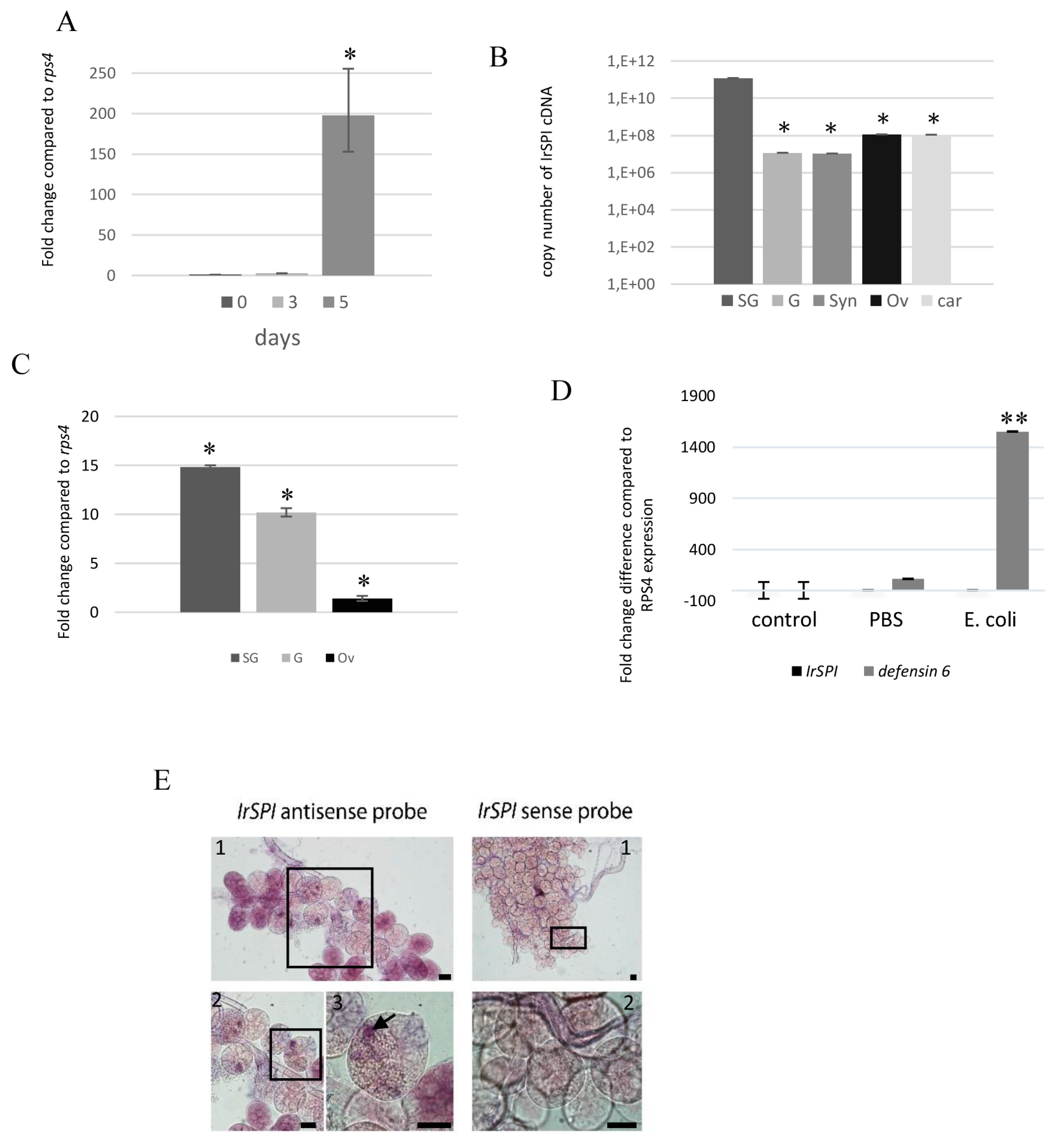 Vaccines 07 00148 g003 Vaccines 07 00148 g003