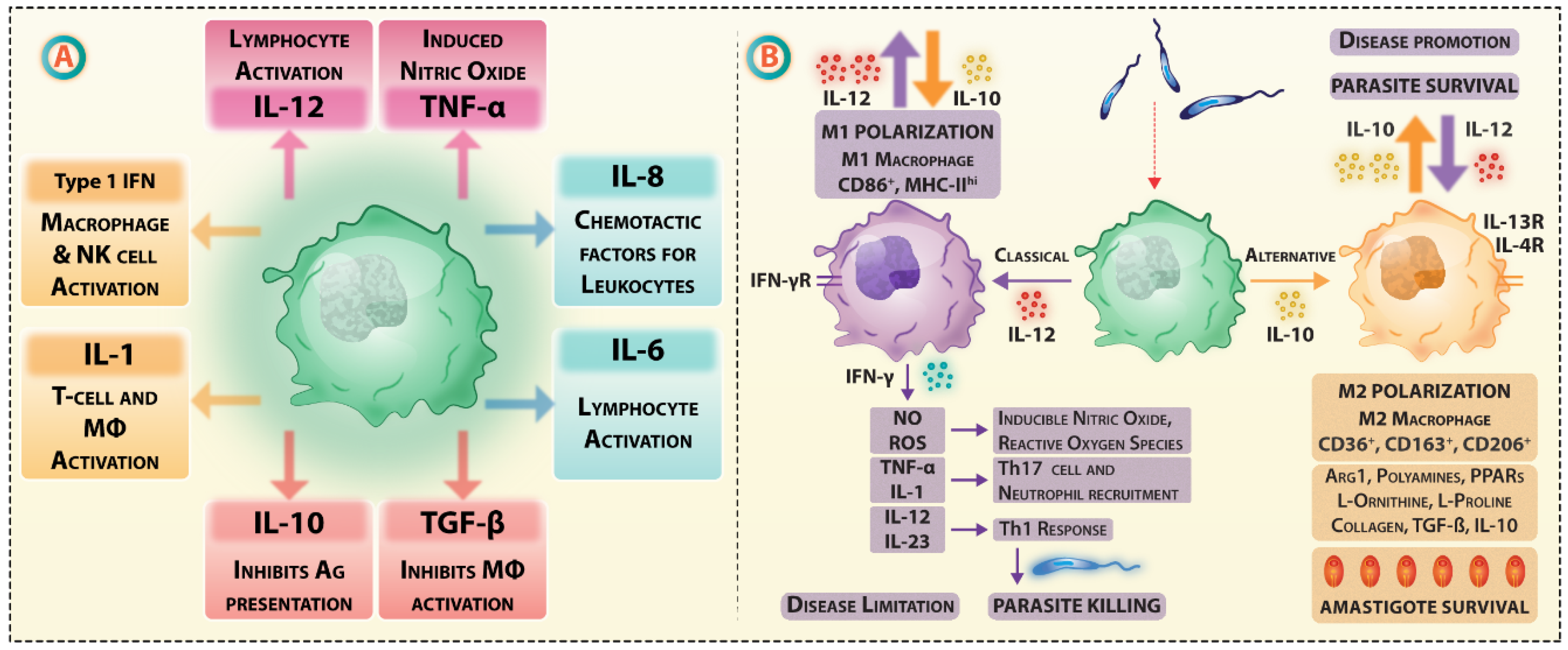 Vaccines 07 00156 g002 Vaccines 07 00156 g002