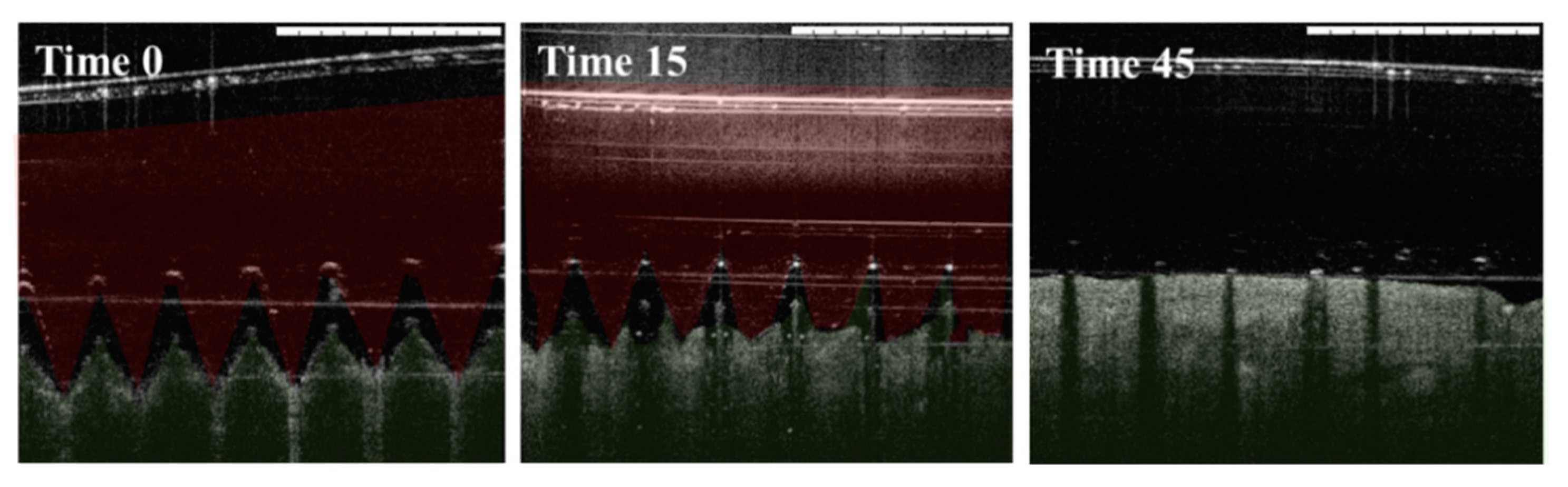 Vaccines 07 00159 g003