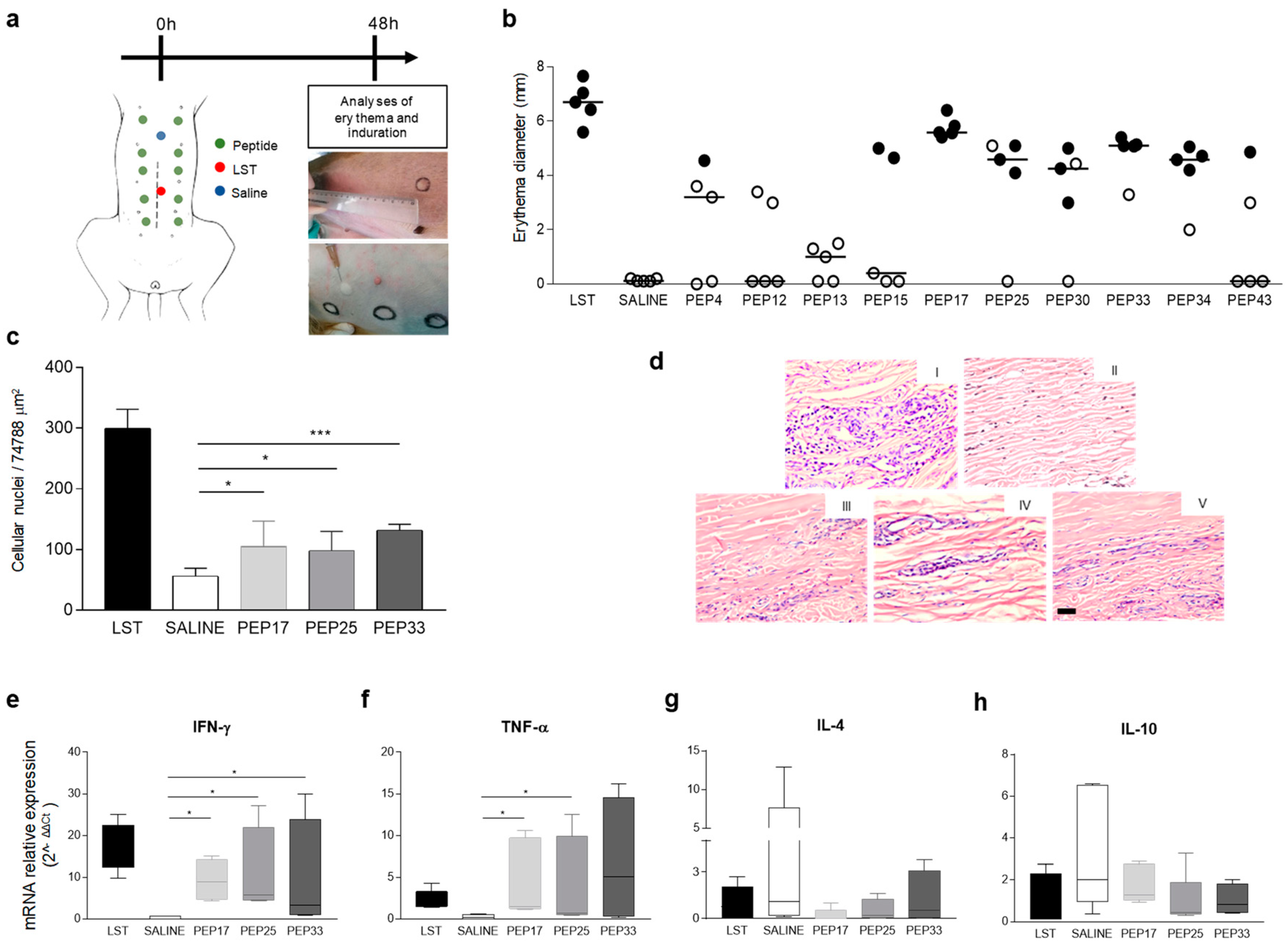 Vaccines 07 00162 g002