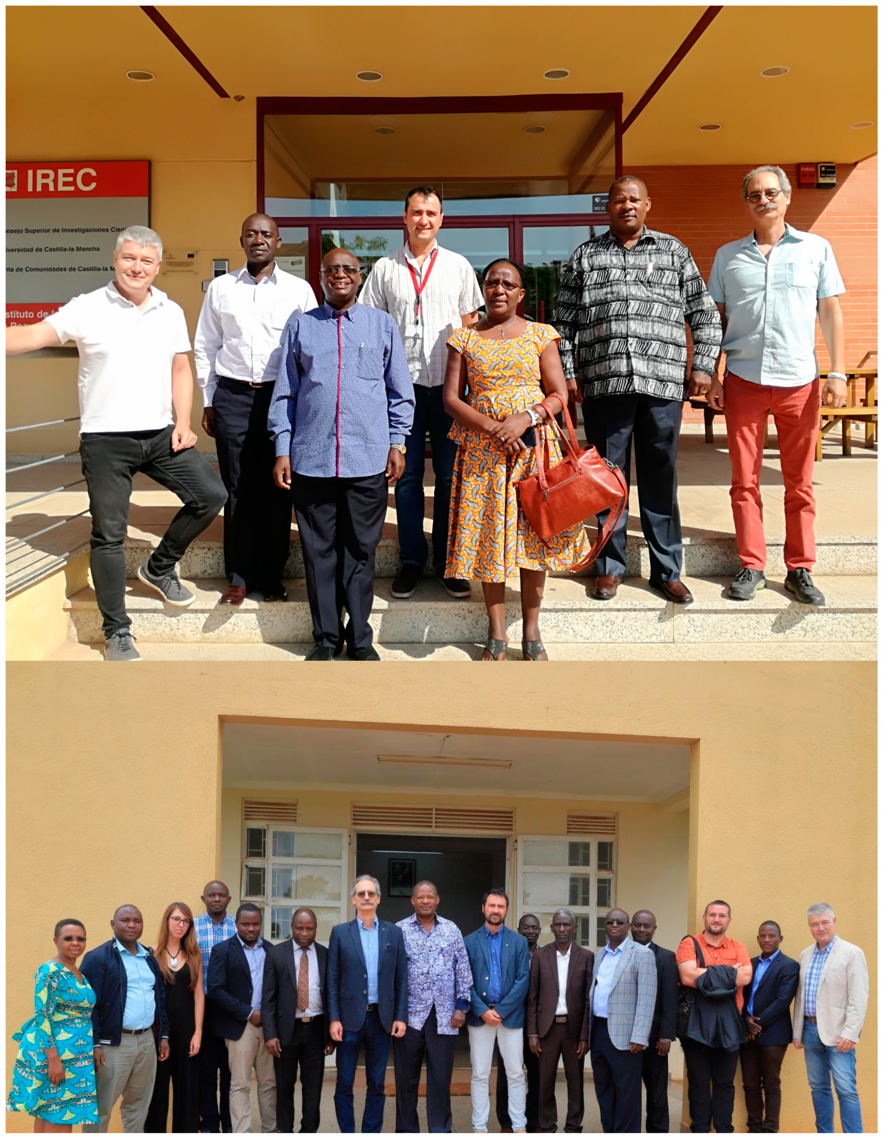 Vaccines 07 00165 g001