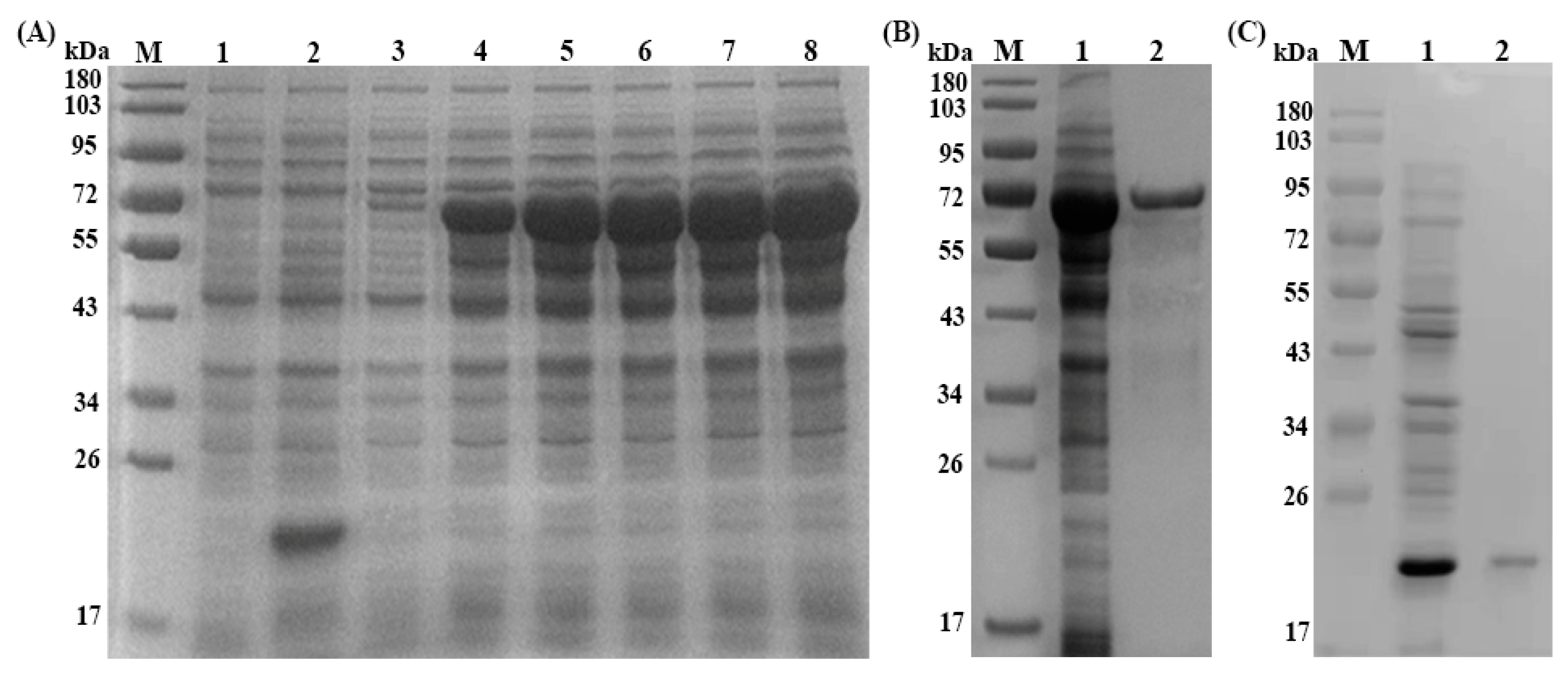 Vaccines 07 00167 g001