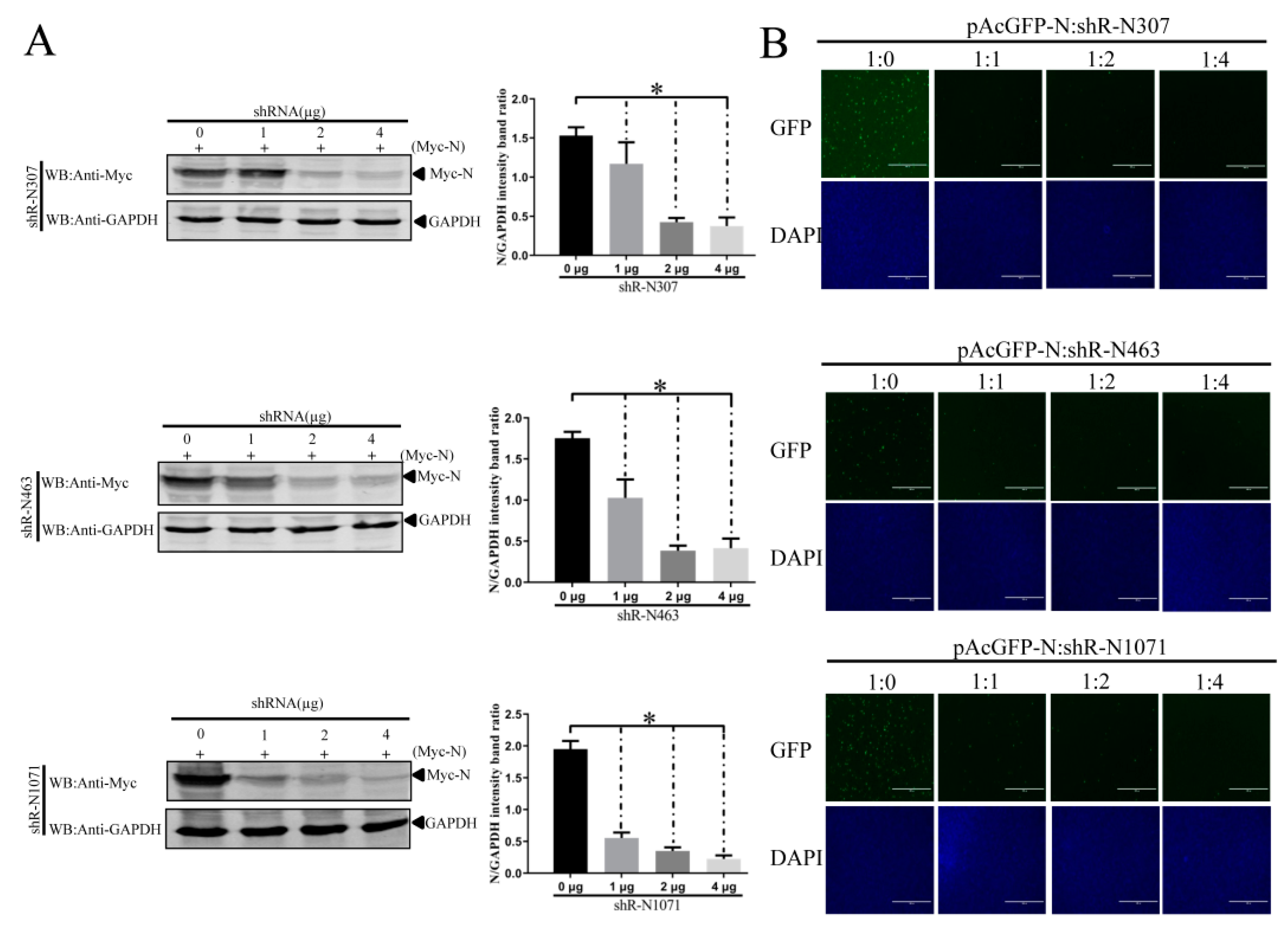 Vaccines 07 00173 g004 Vaccines 07 00173 g004