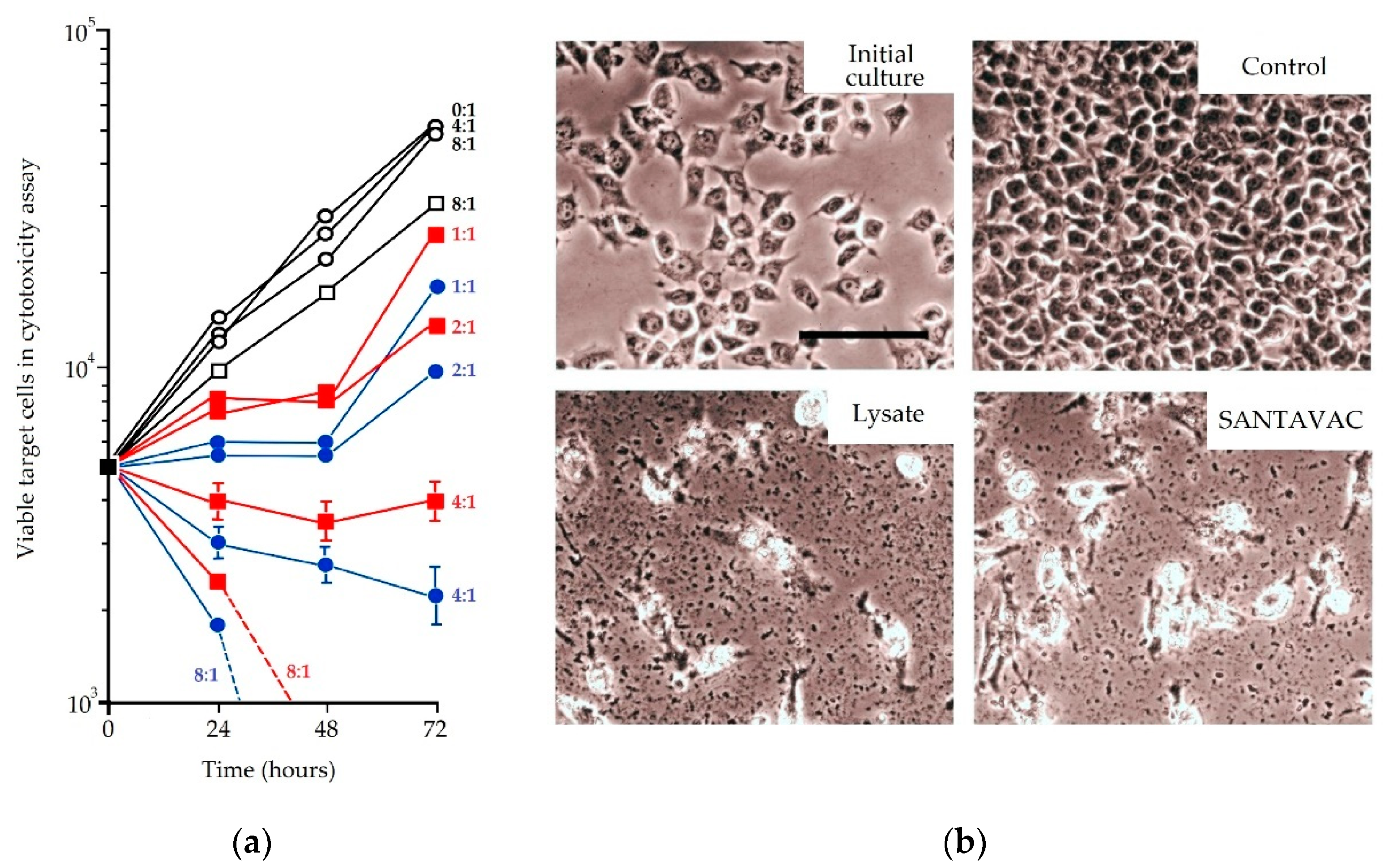 Vaccines 07 00186 g001 Vaccines 07 00186 g001