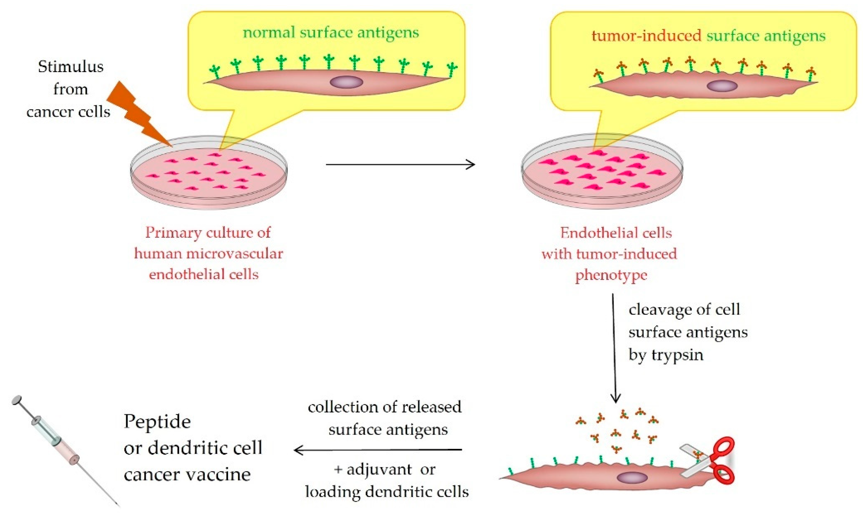 Vaccines 07 00186 g002 Vaccines 07 00186 g002