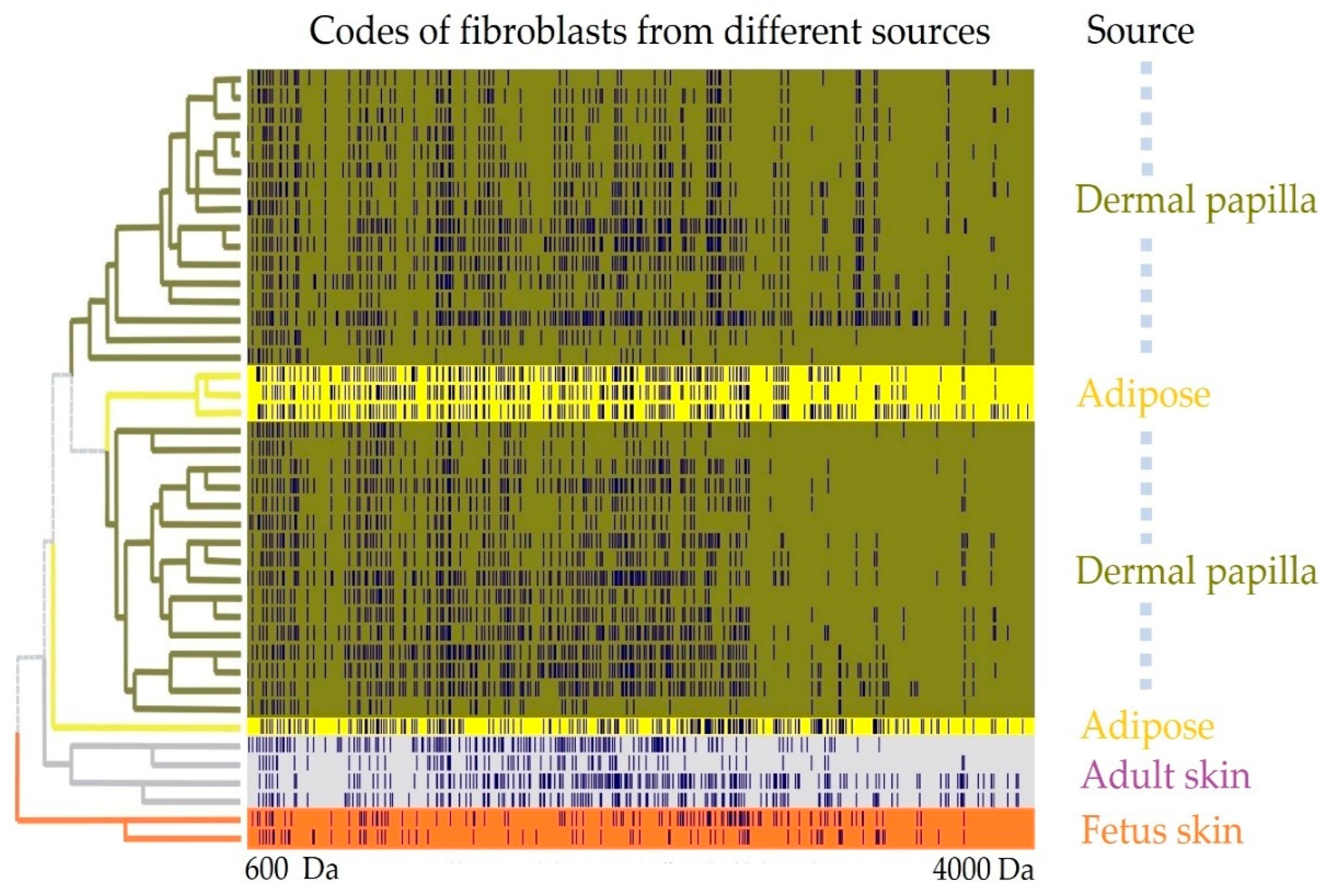 Vaccines 07 00186 g0a1 Vaccines 07 00186 g0a1
