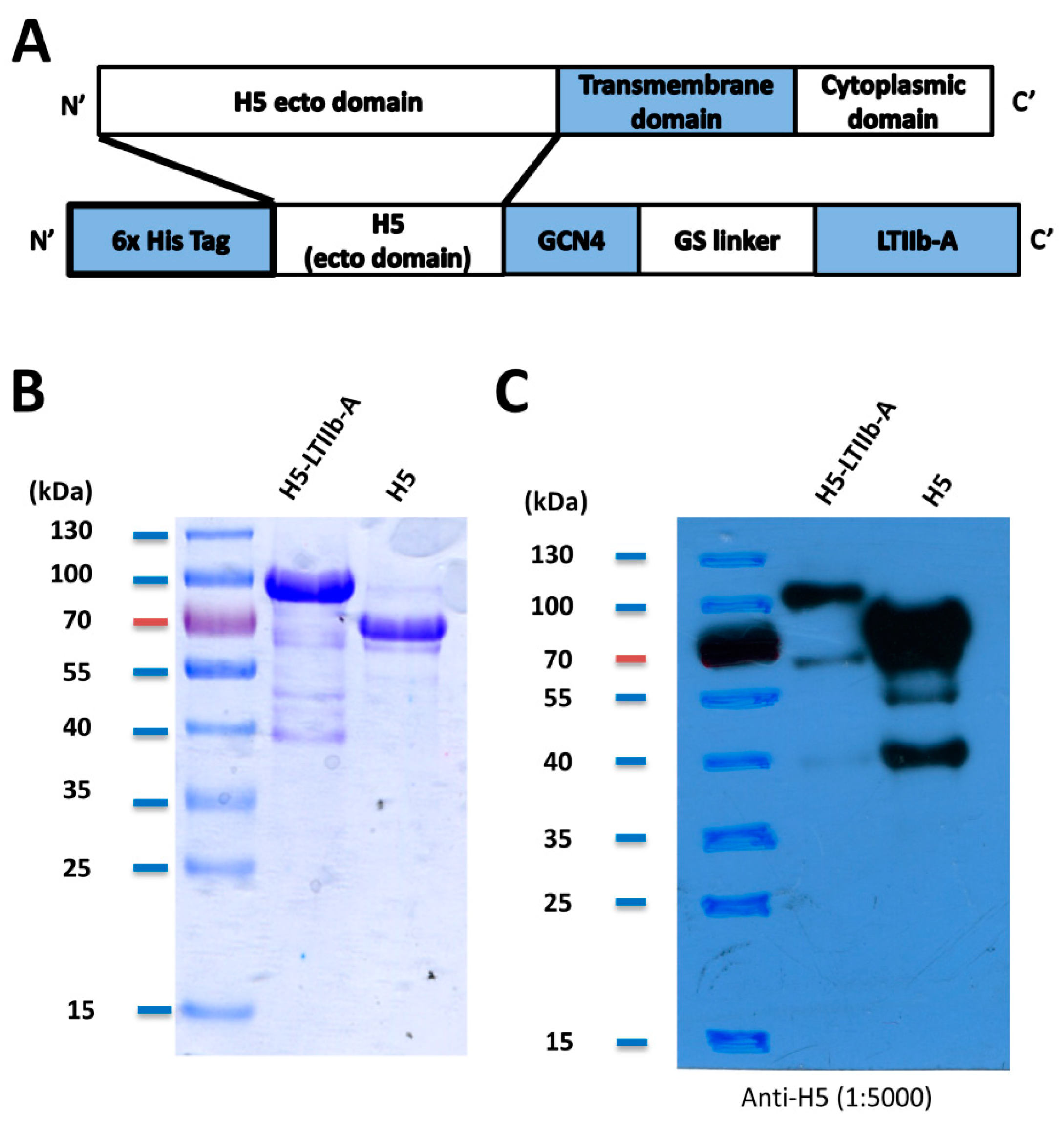 Vaccines 07 00193 g001