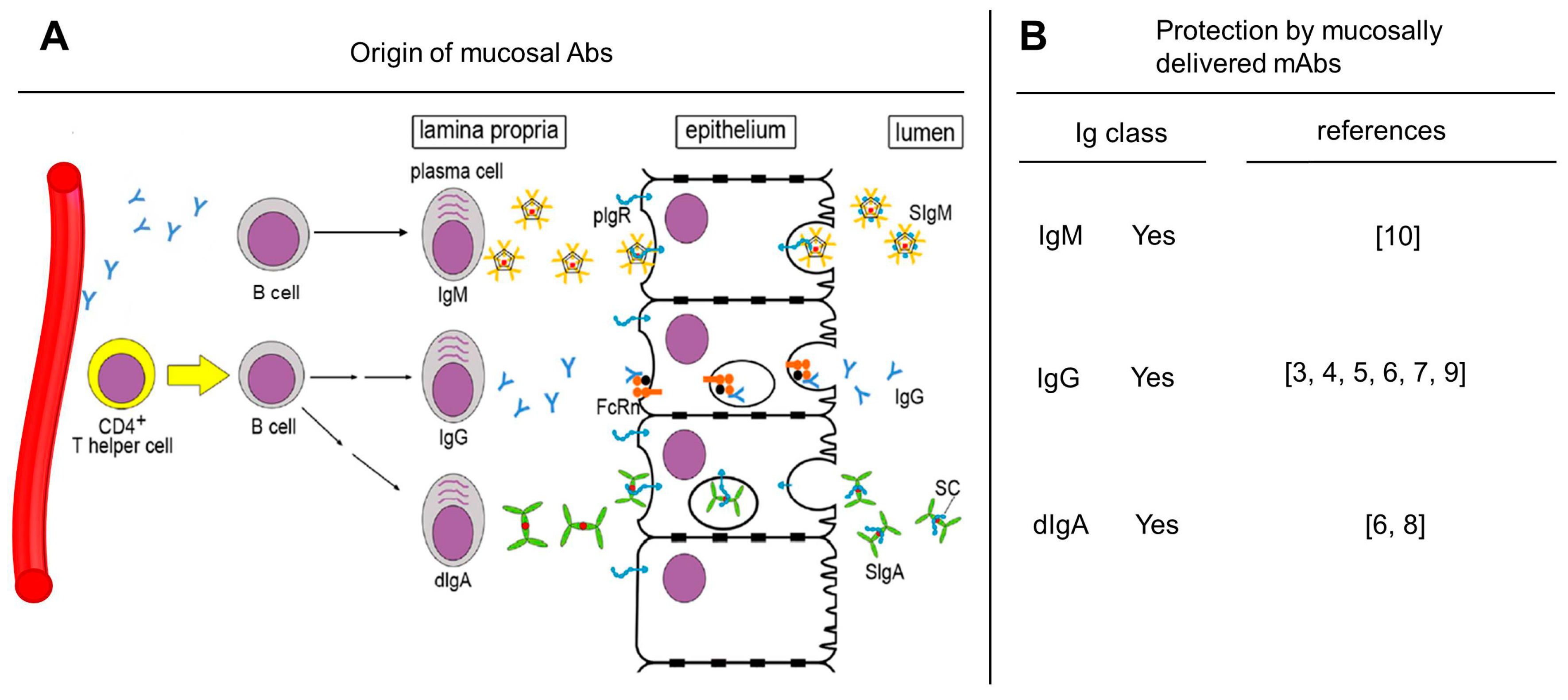 Vaccines 07 00194 g001 Vaccines 07 00194 g001