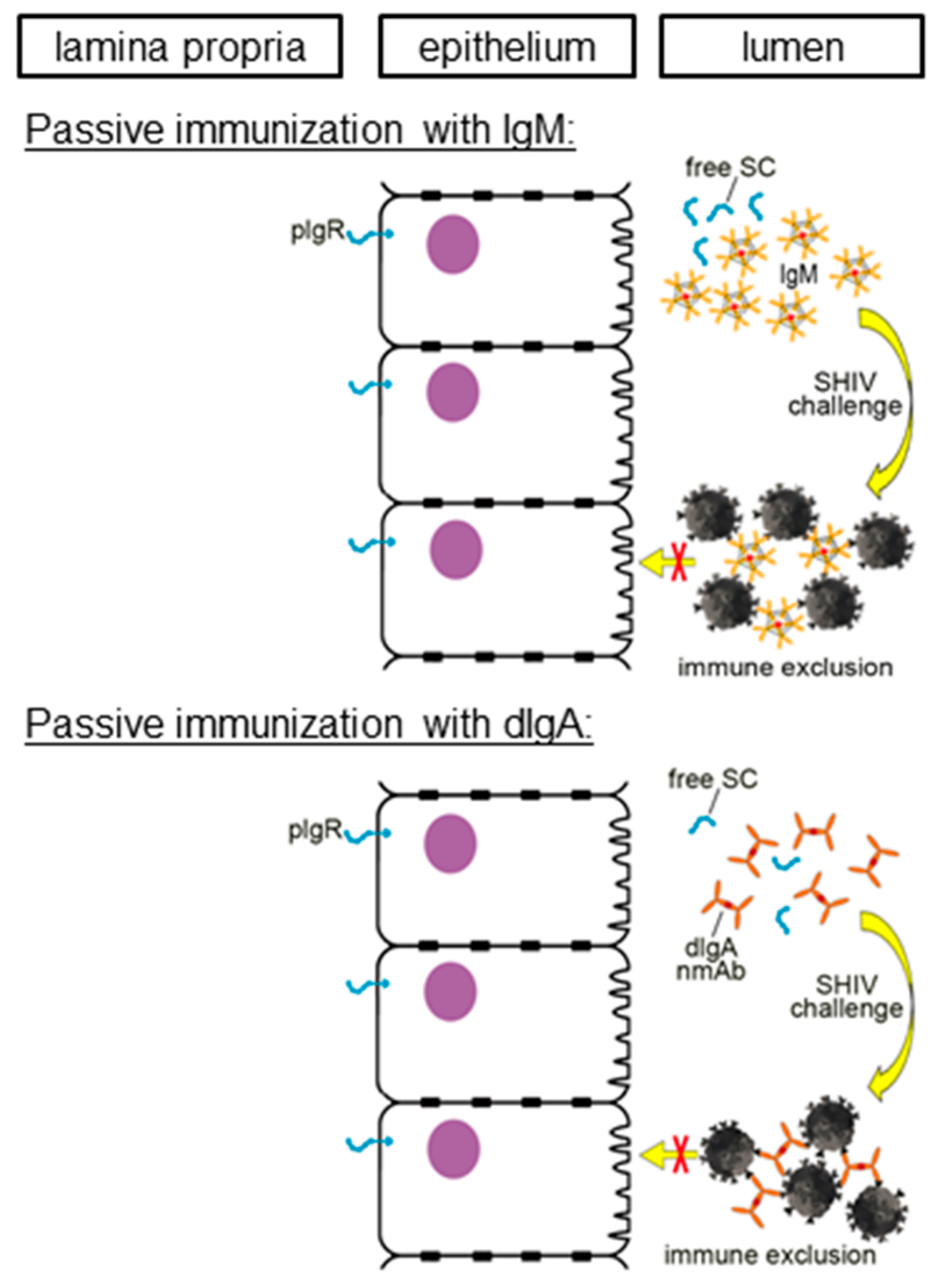Vaccines 07 00194 g002 Vaccines 07 00194 g002