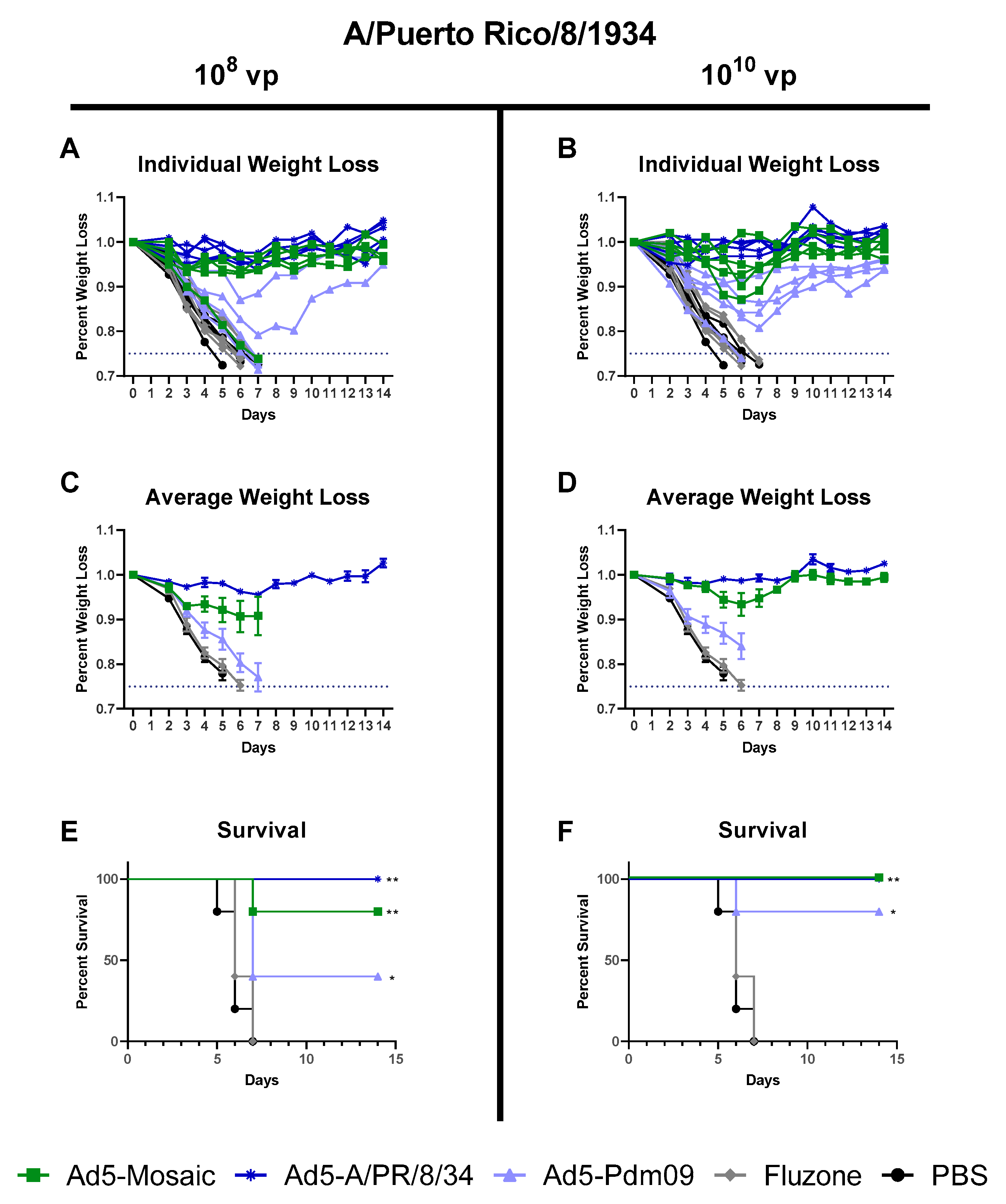 Vaccines 07 00195 g008 550