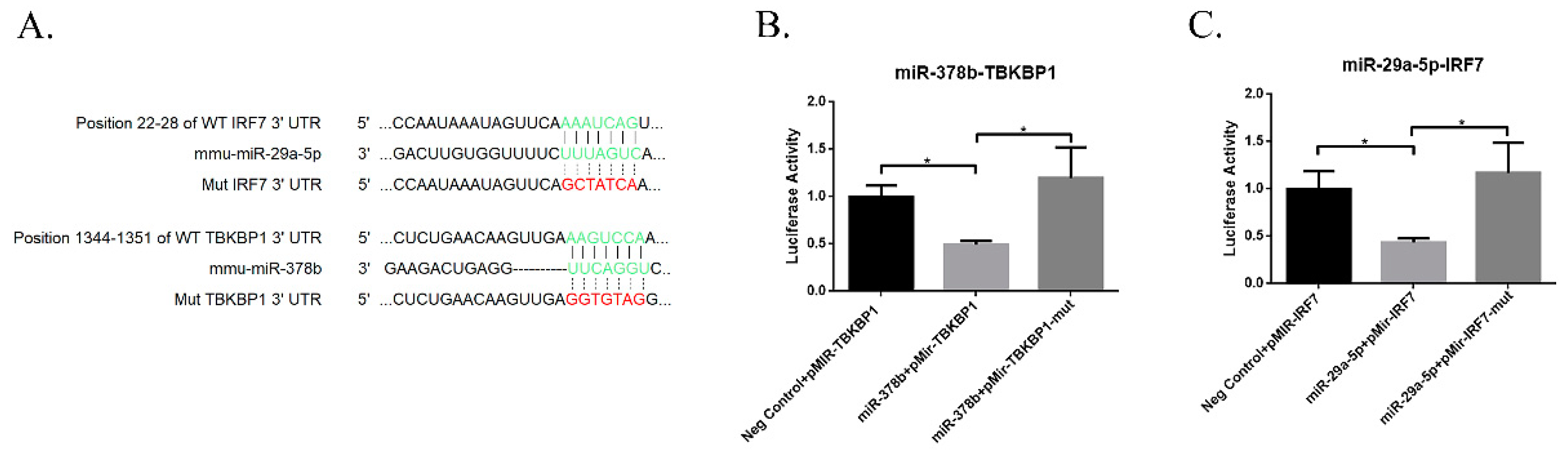 Vaccines 07 00197 g008