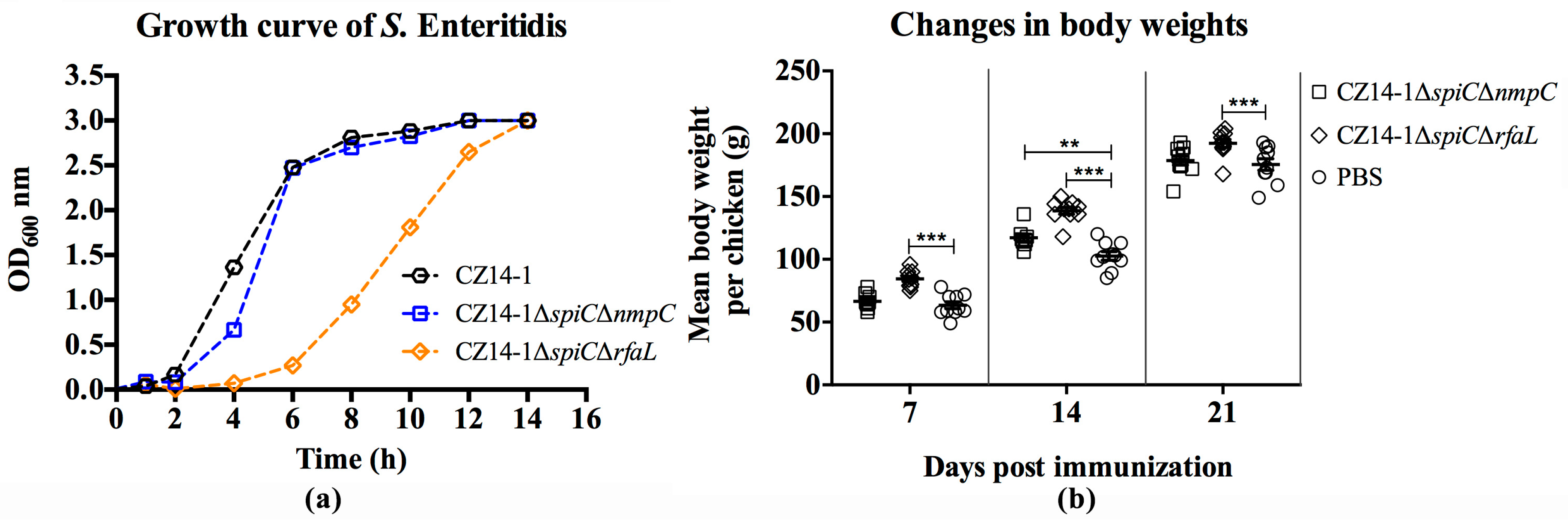Vaccines 07 00202 g001