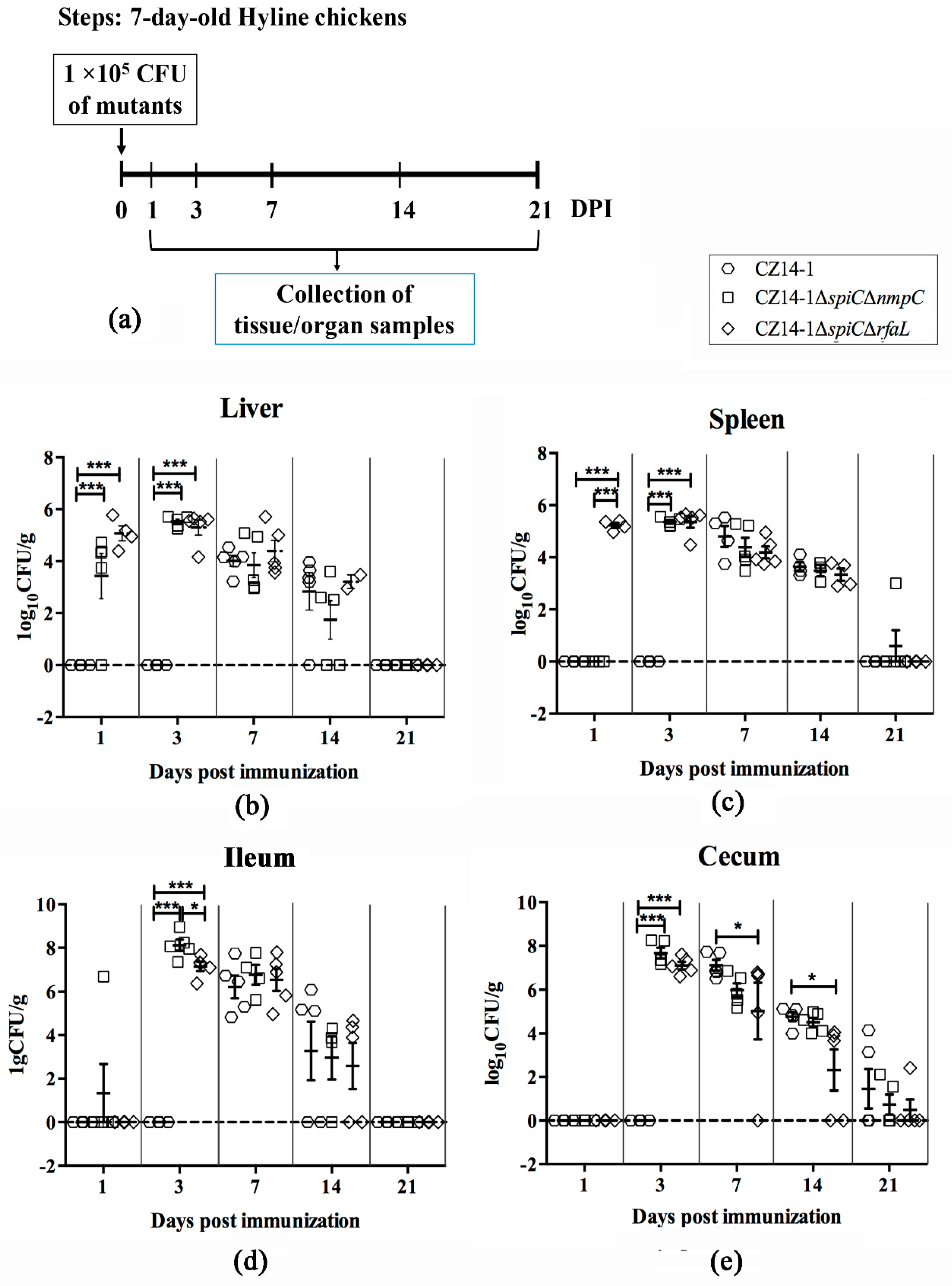Vaccines 07 00202 g002