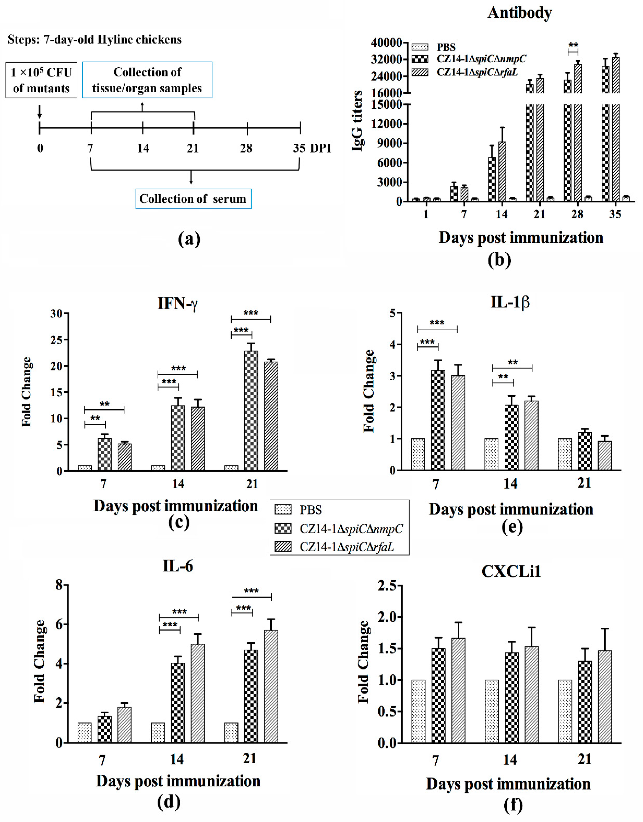 Vaccines 07 00202 g003