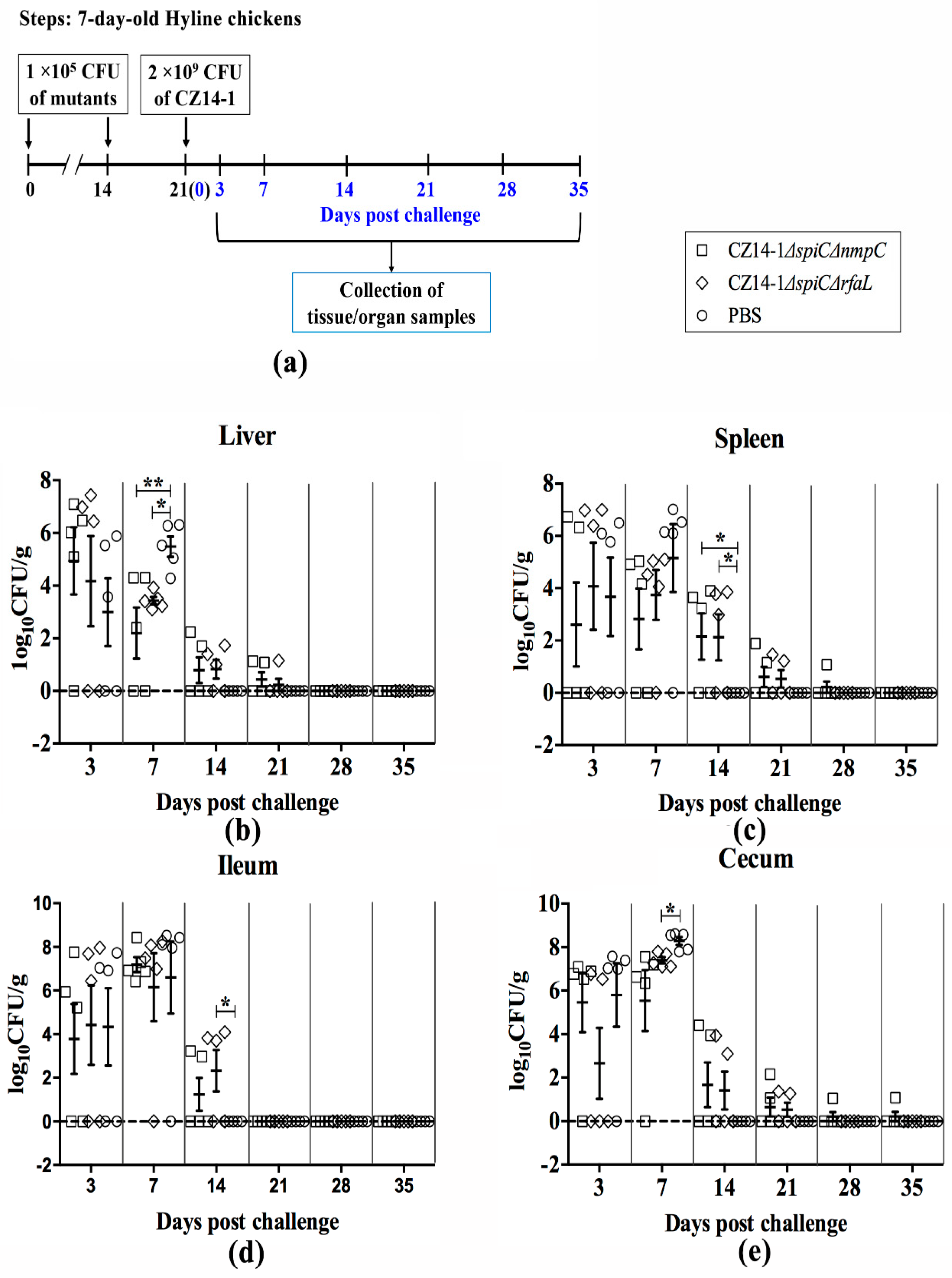 Vaccines 07 00202 g004