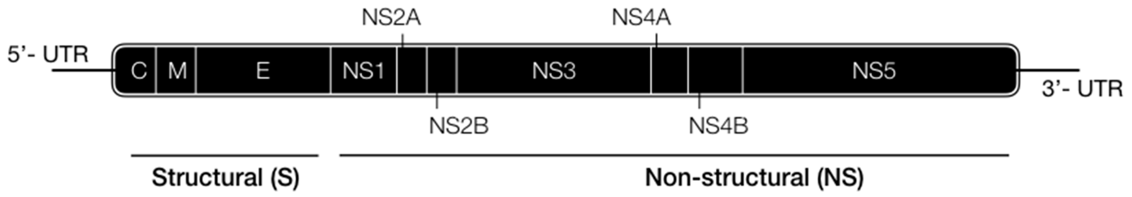 Vaccines 07 00203 g001 Vaccines 07 00203 g001