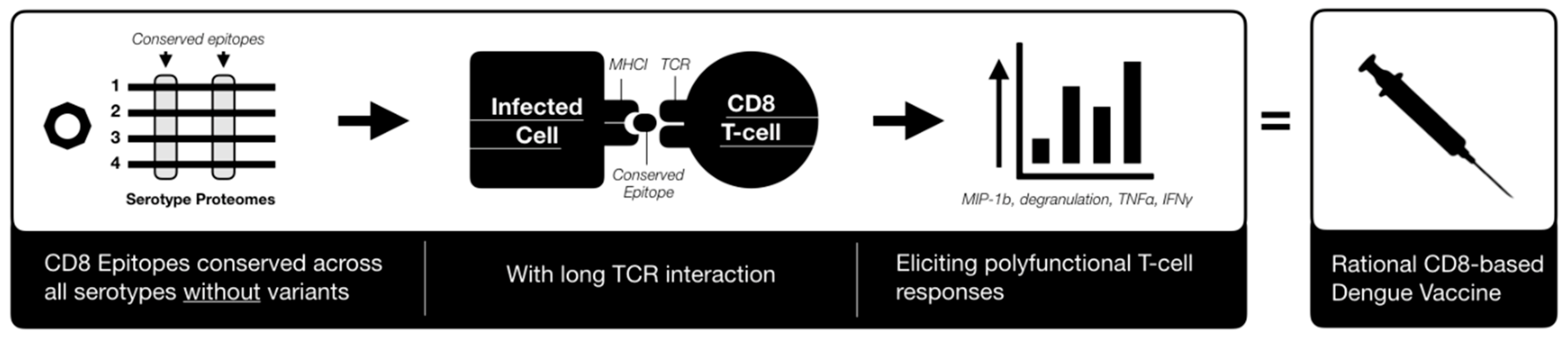 Vaccines 07 00203 g003 Vaccines 07 00203 g003