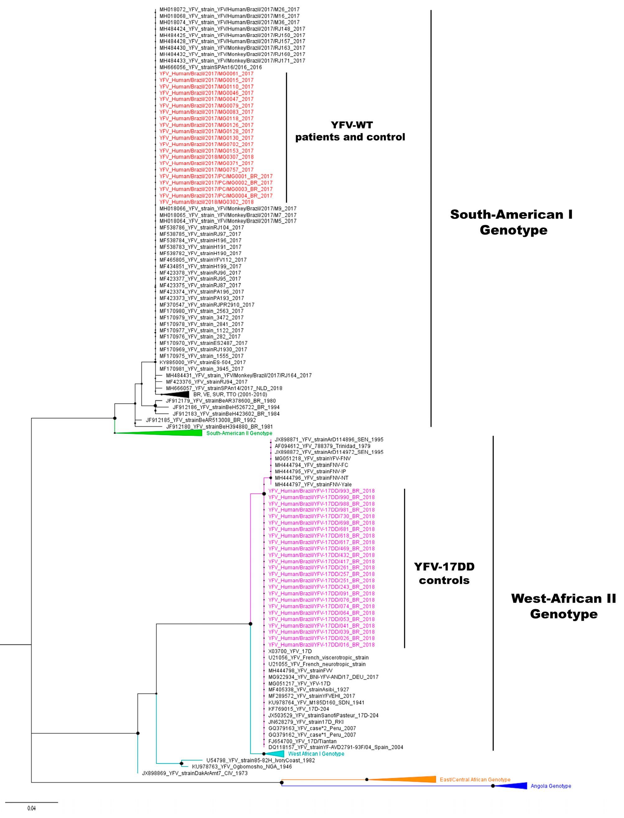 Vaccines 07 00206 g002