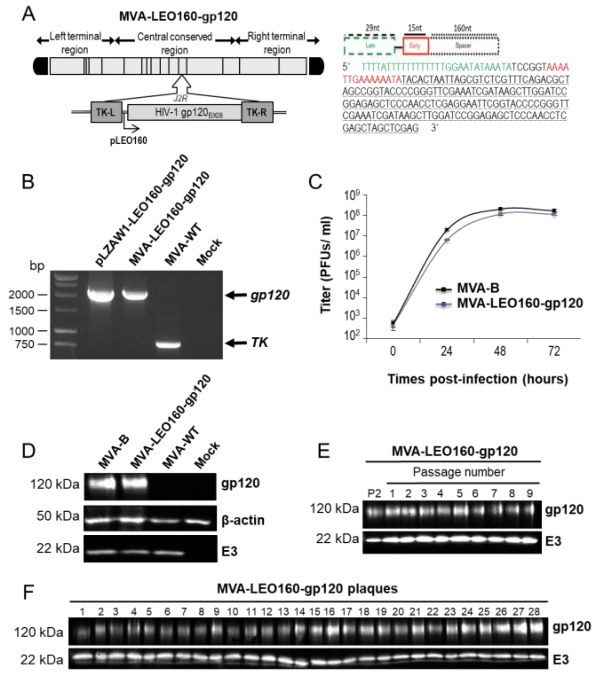 Vaccines 07 00208 g001 Vaccines 07 00208 g001