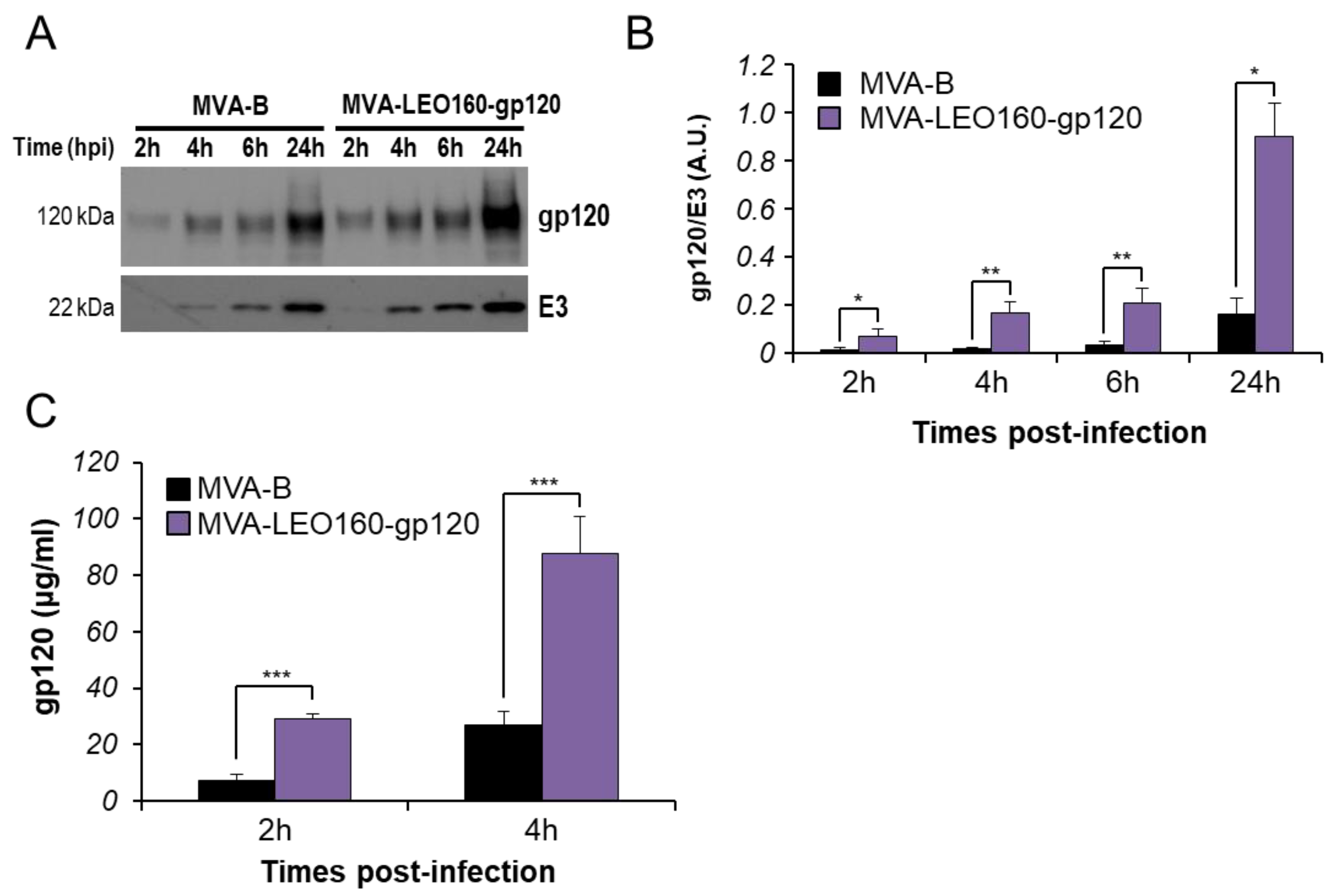 Vaccines 07 00208 g003 Vaccines 07 00208 g003