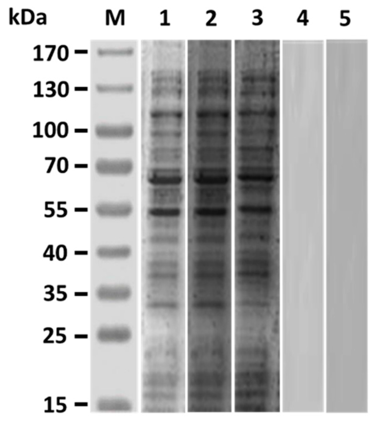 Vaccines 07 00210 g003 Vaccines 07 00210 g003