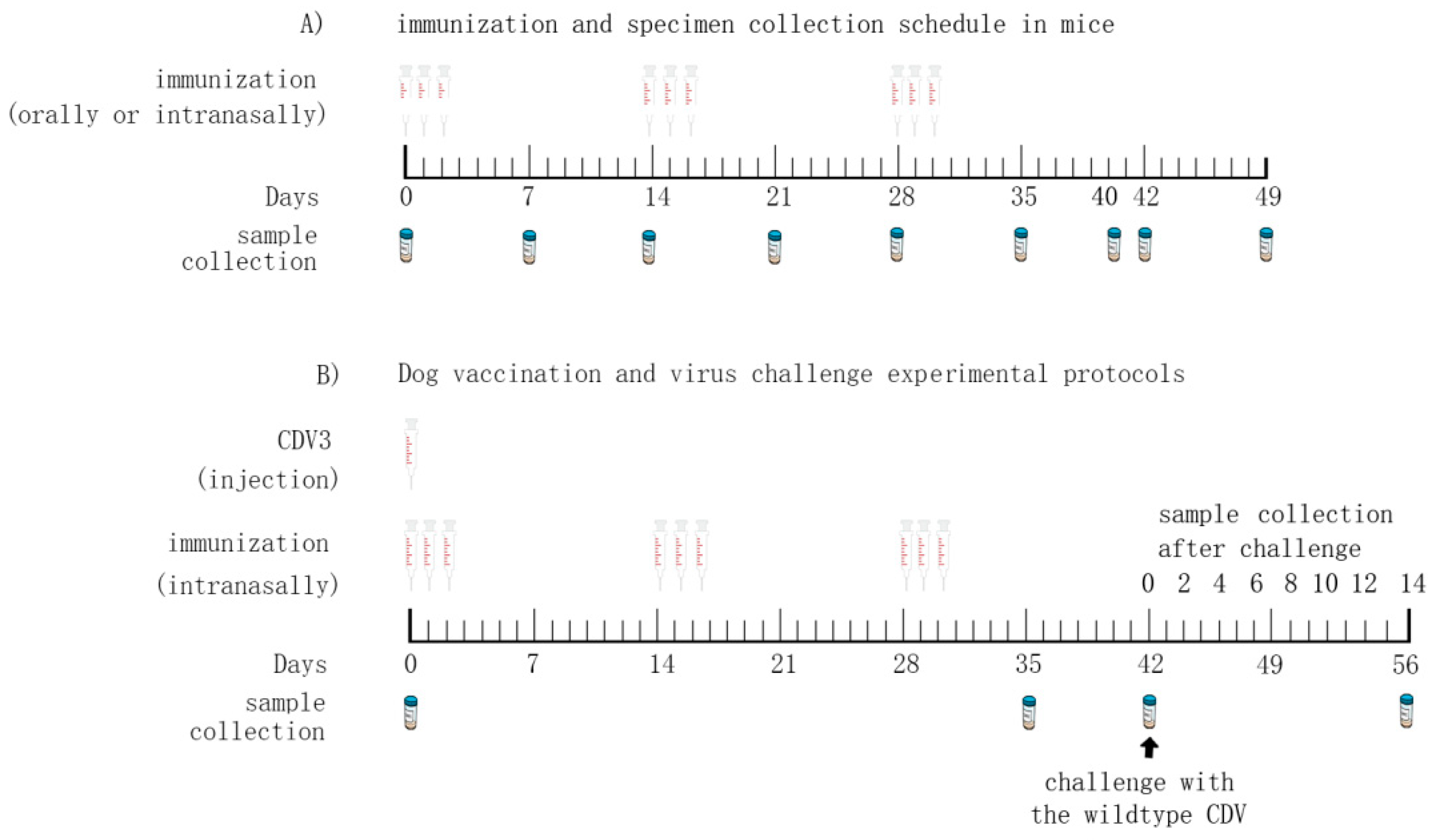 Vaccines 07 00213 g002 Vaccines 07 00213 g002