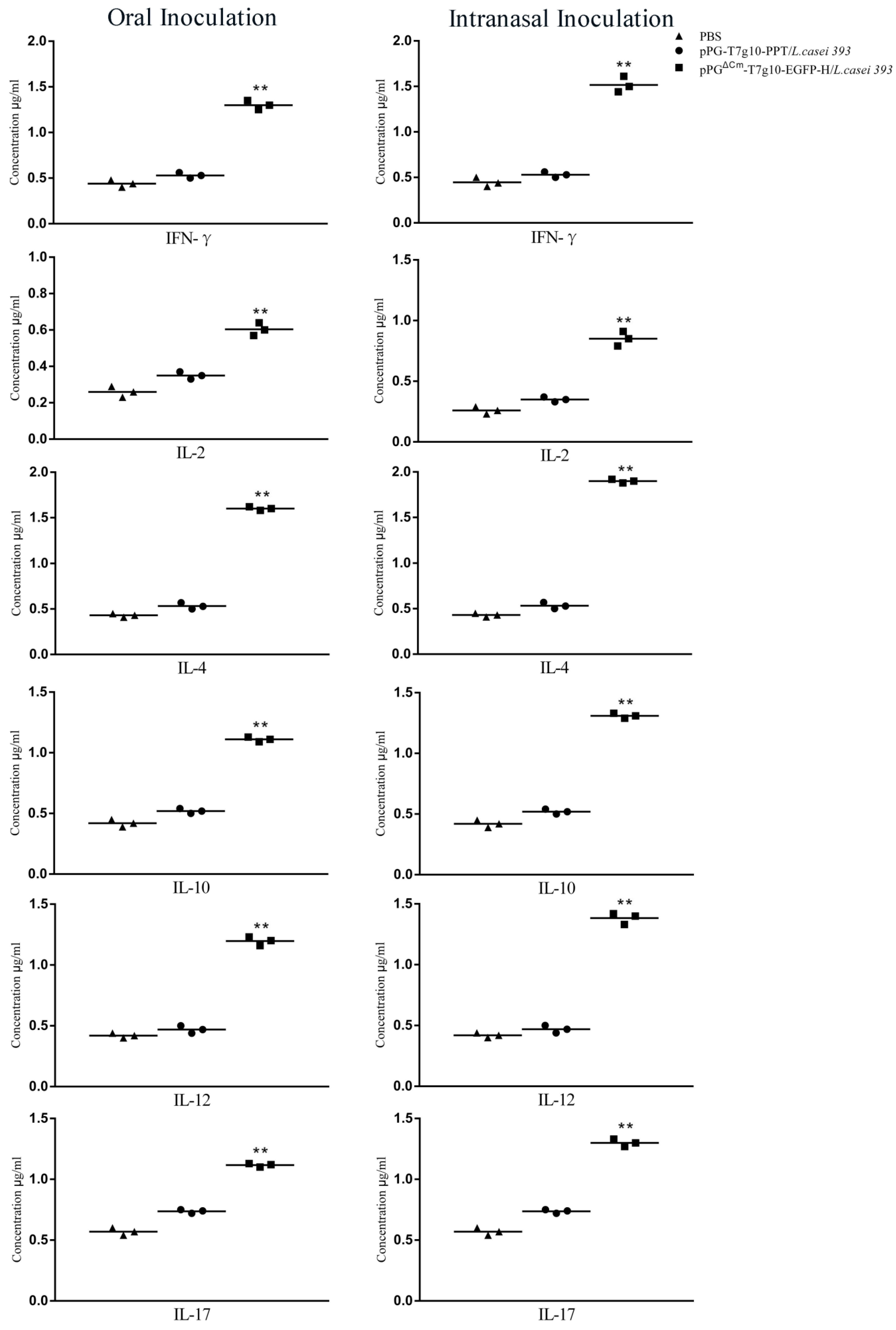 Vaccines 07 00213 g007 Vaccines 07 00213 g007