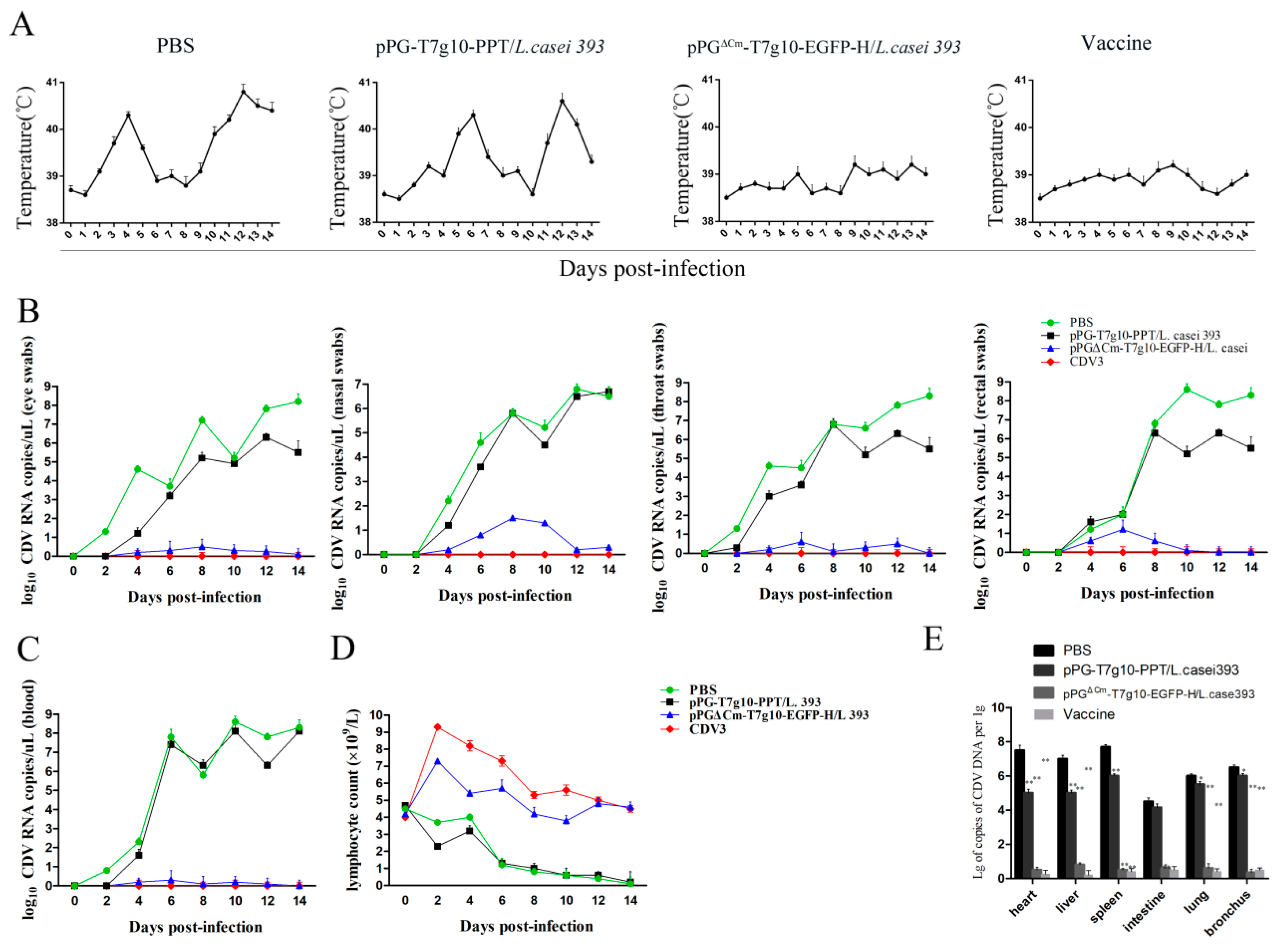 Vaccines 07 00213 g009 Vaccines 07 00213 g009
