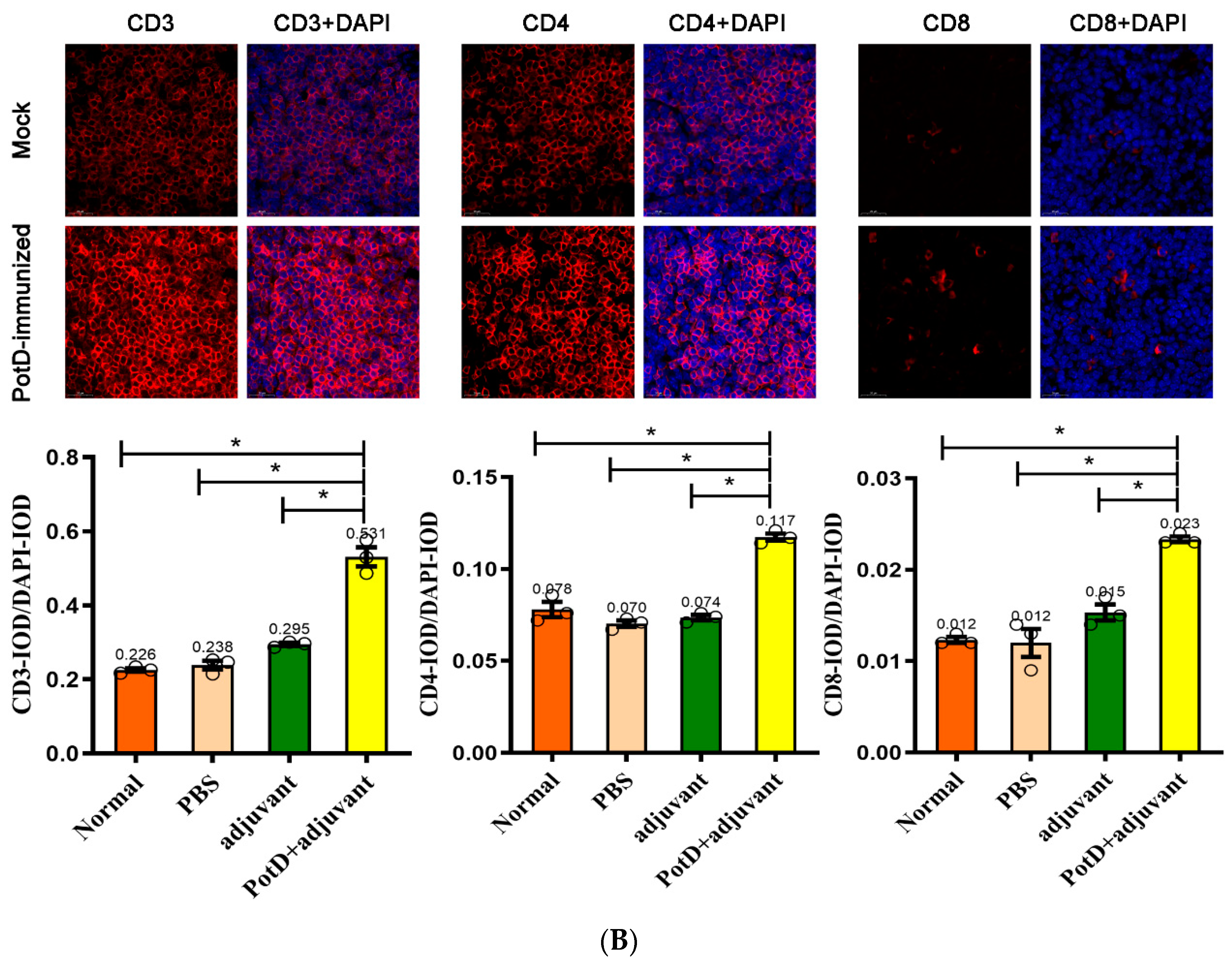 Vaccines 07 00216 g003b