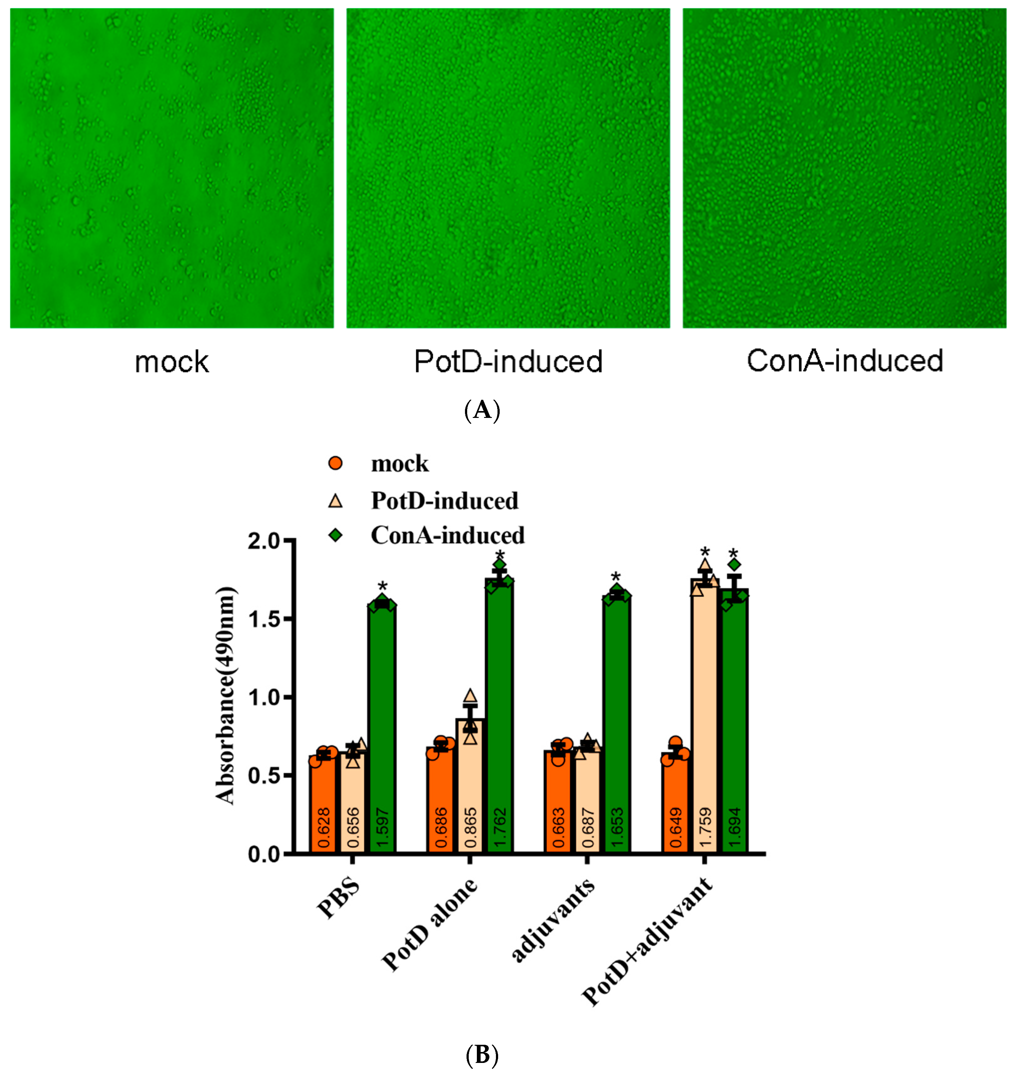 Vaccines 07 00216 g004