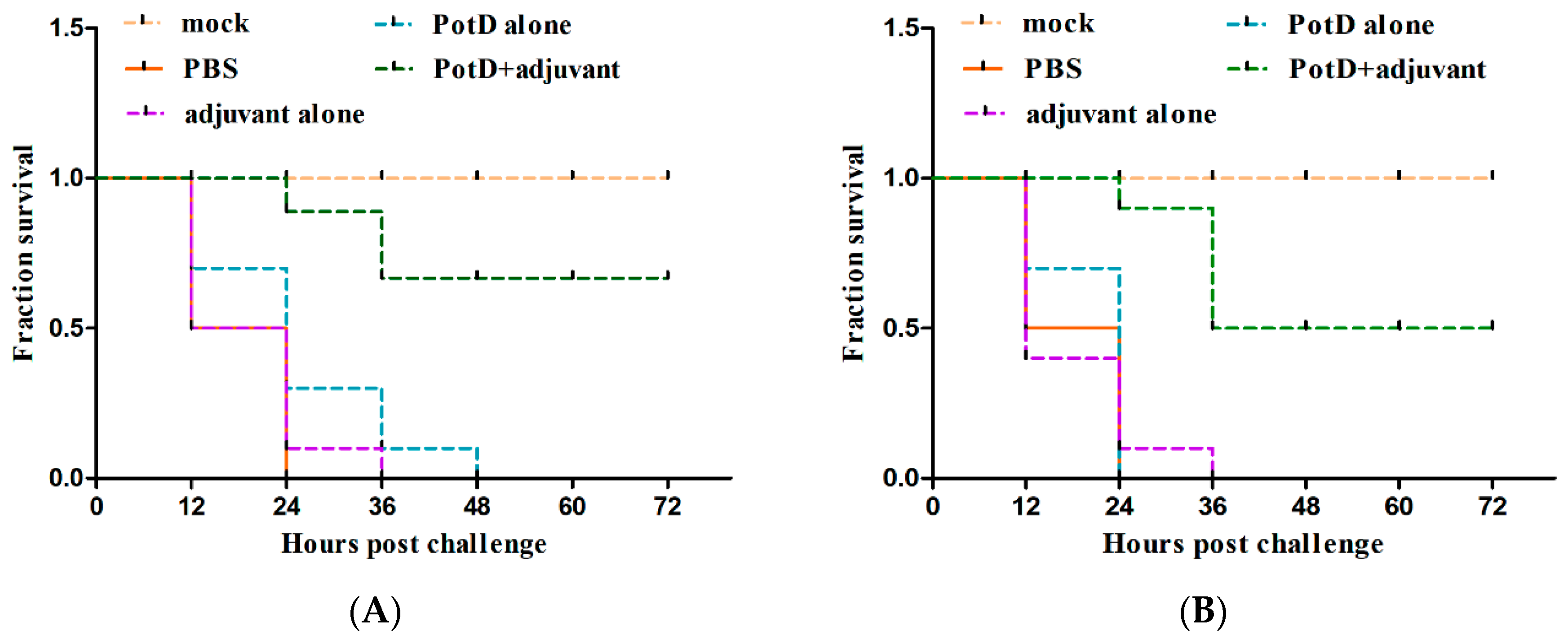 Vaccines 07 00216 g006
