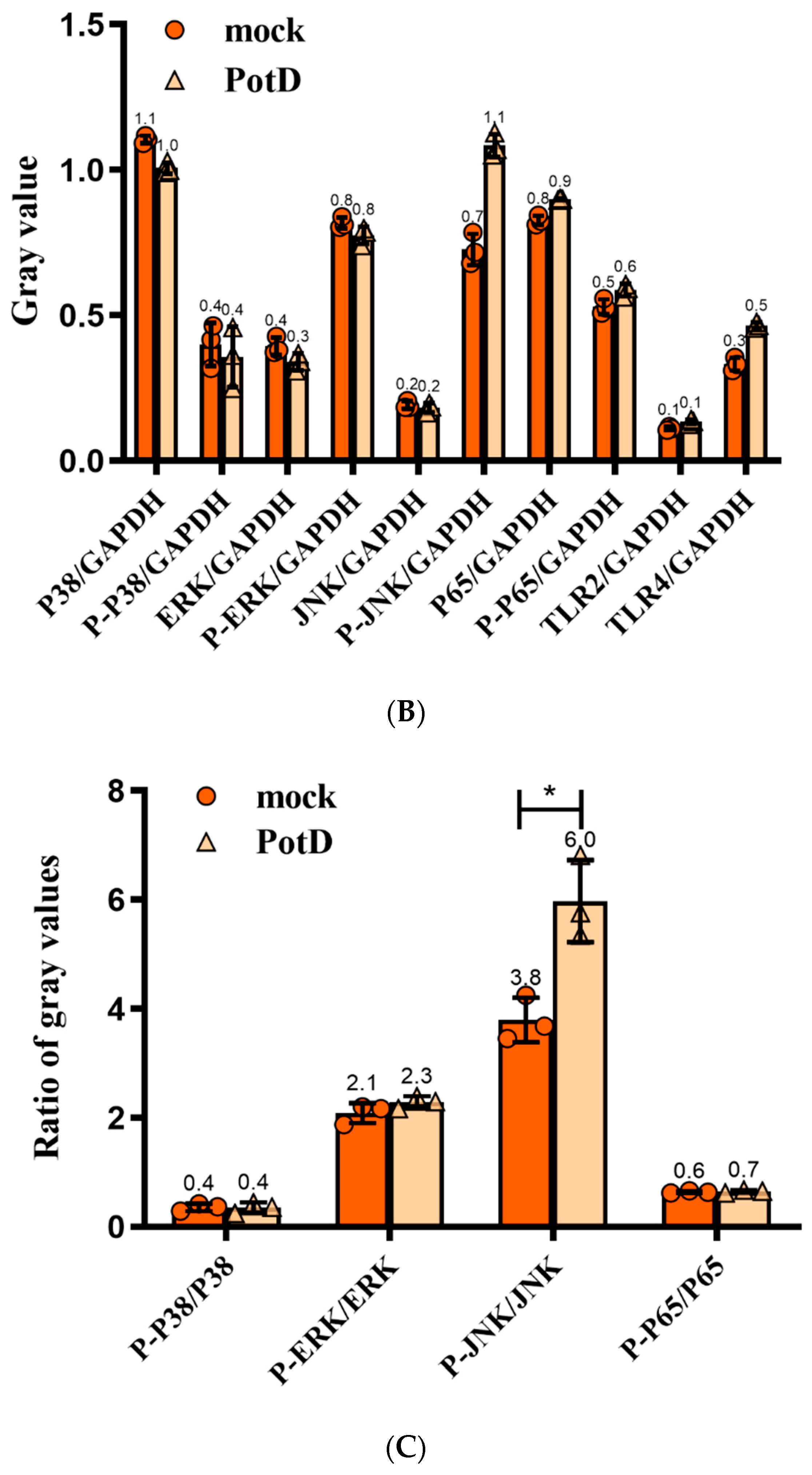 Vaccines 07 00216 g012b