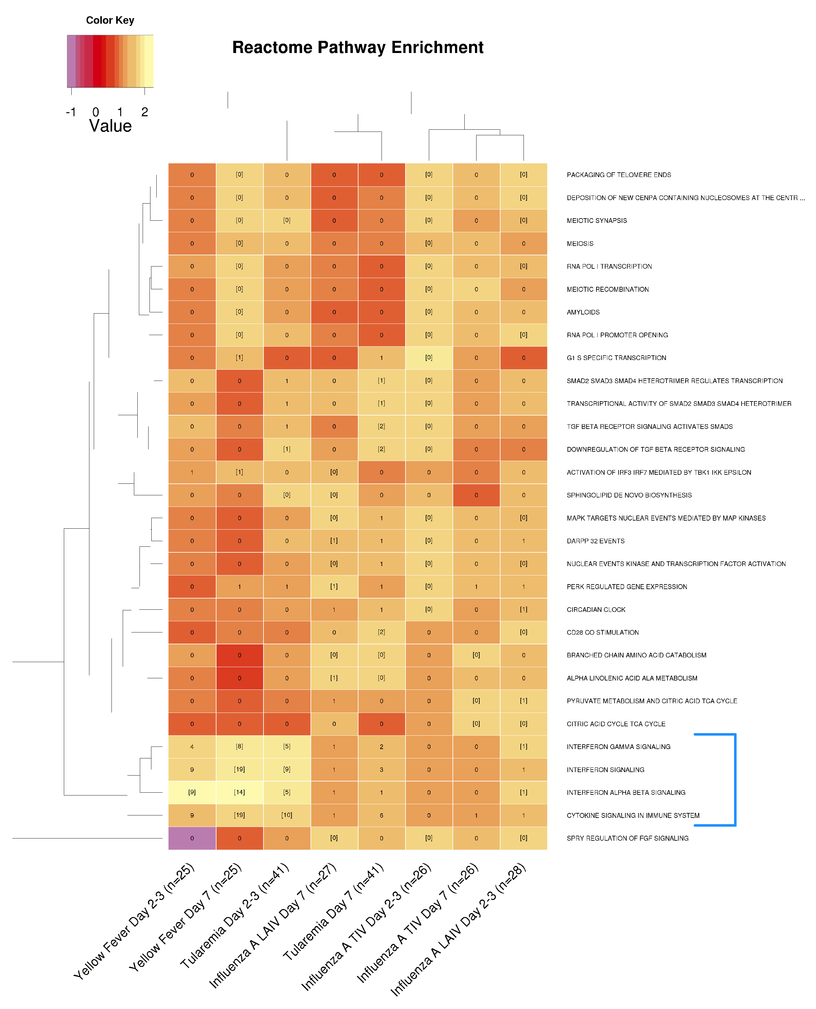 Vaccines 08 00004 g005 Vaccines 08 00004 g005